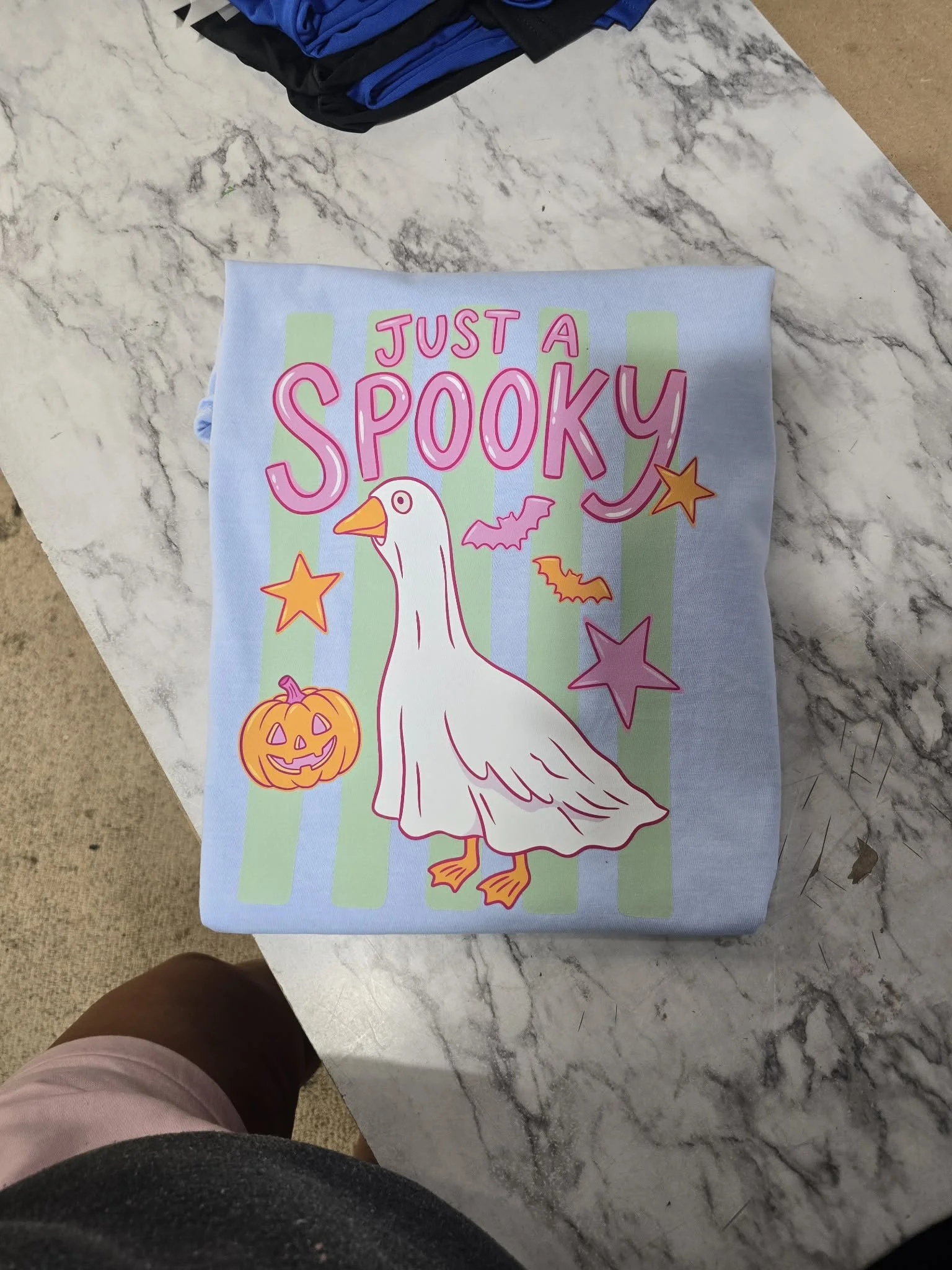 just a spooky goose.jpg