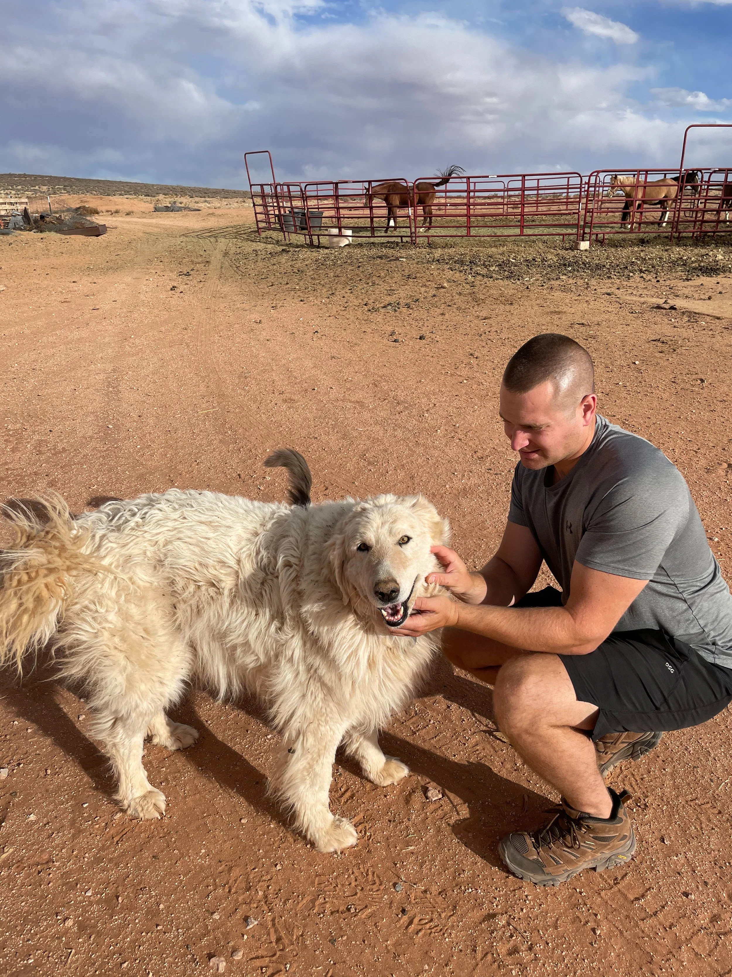 meeting the local pets at Shash Dine Reservation