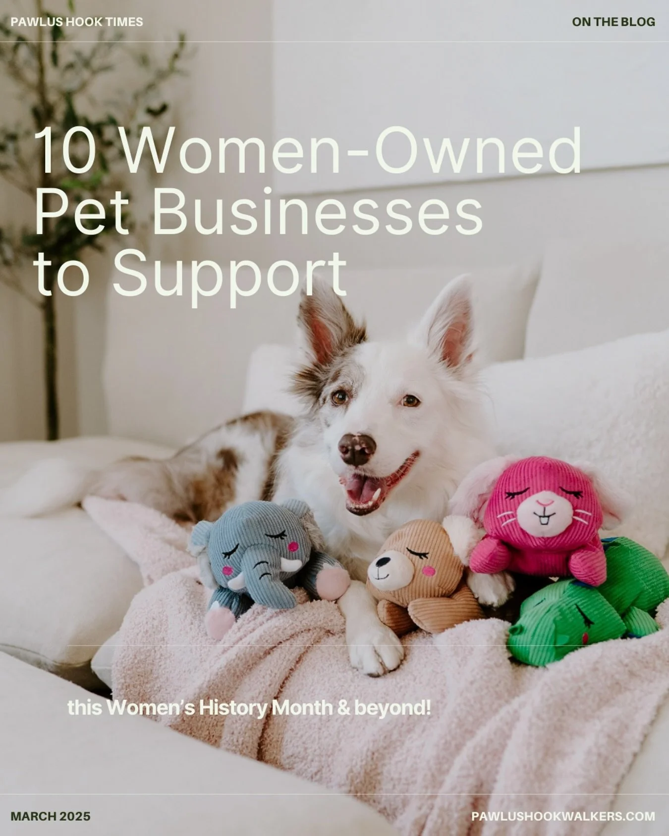 Those who know us well know how important it is to us to support small businesses&mdash;especially women-owned 💕

This Women&rsquo;s History Month, we&rsquo;re celebrating 10 women-owned pet care businesses you ought to know about over on our newly 