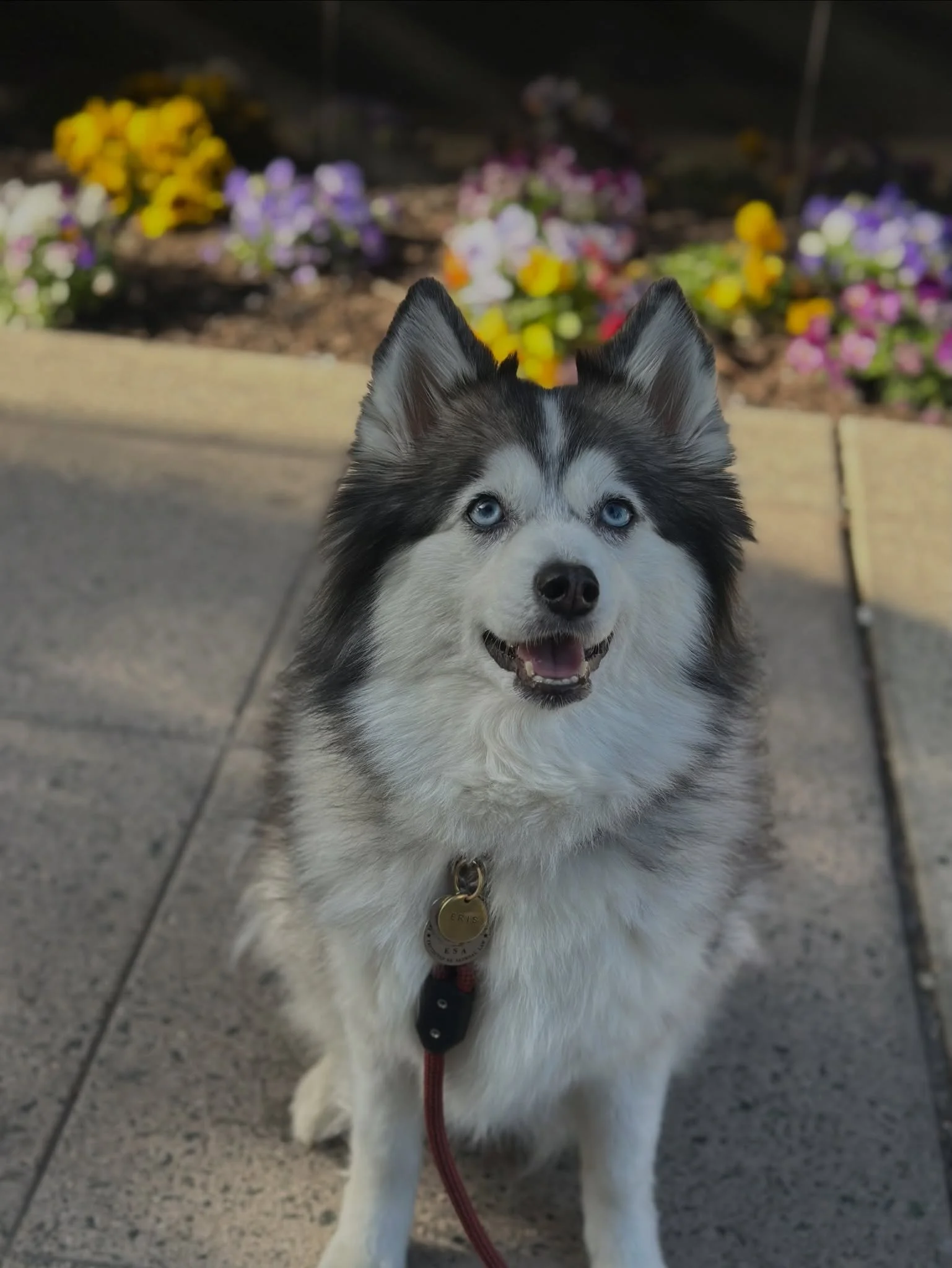 Spring is better with your best buds 🌸🌼