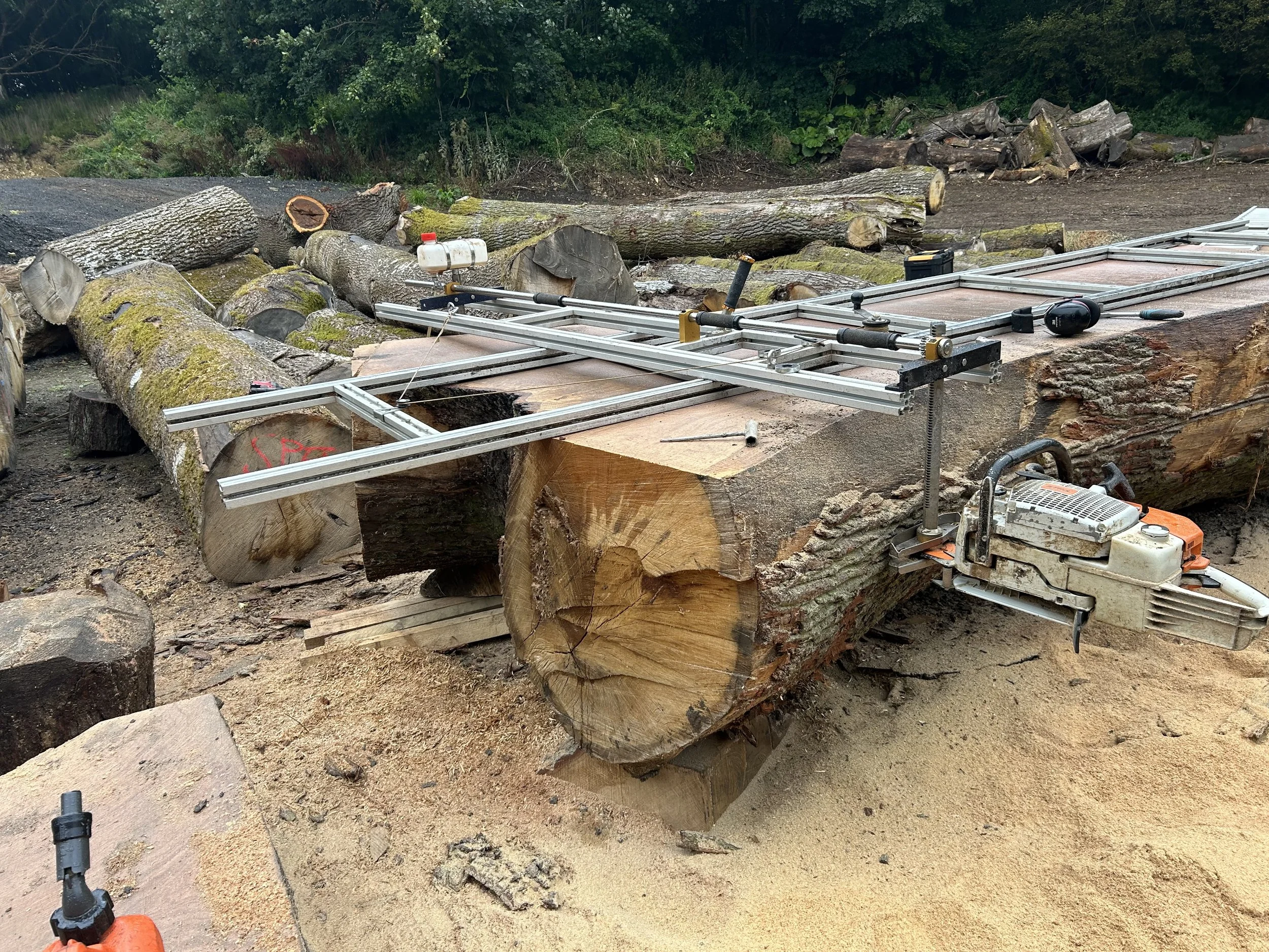 A sawmill setup on a large cut tree trunk with logs stacked around, using a chainsaw and a portable track saw in an outdoor forested area.