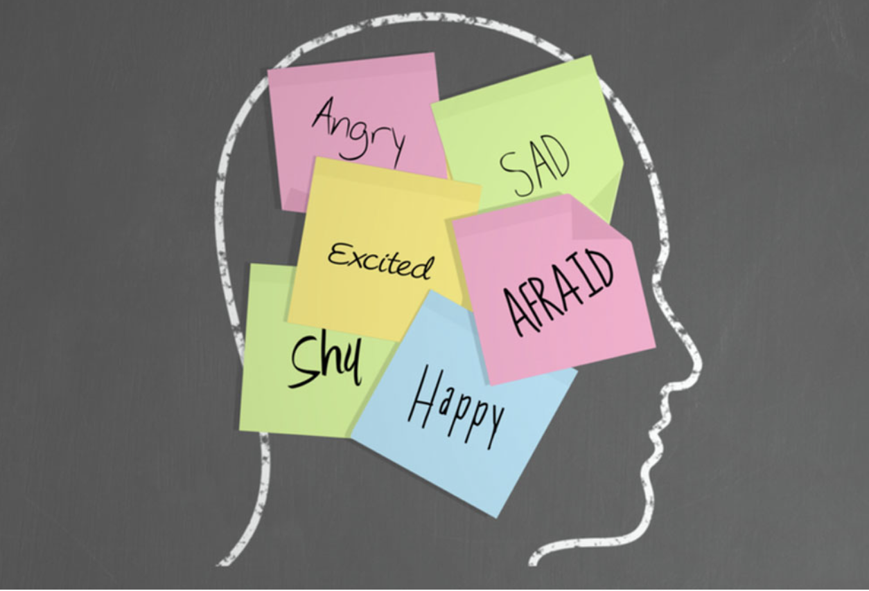 The Physiology of Trauma: The Case for Building Trauma-Informed Knowledge 