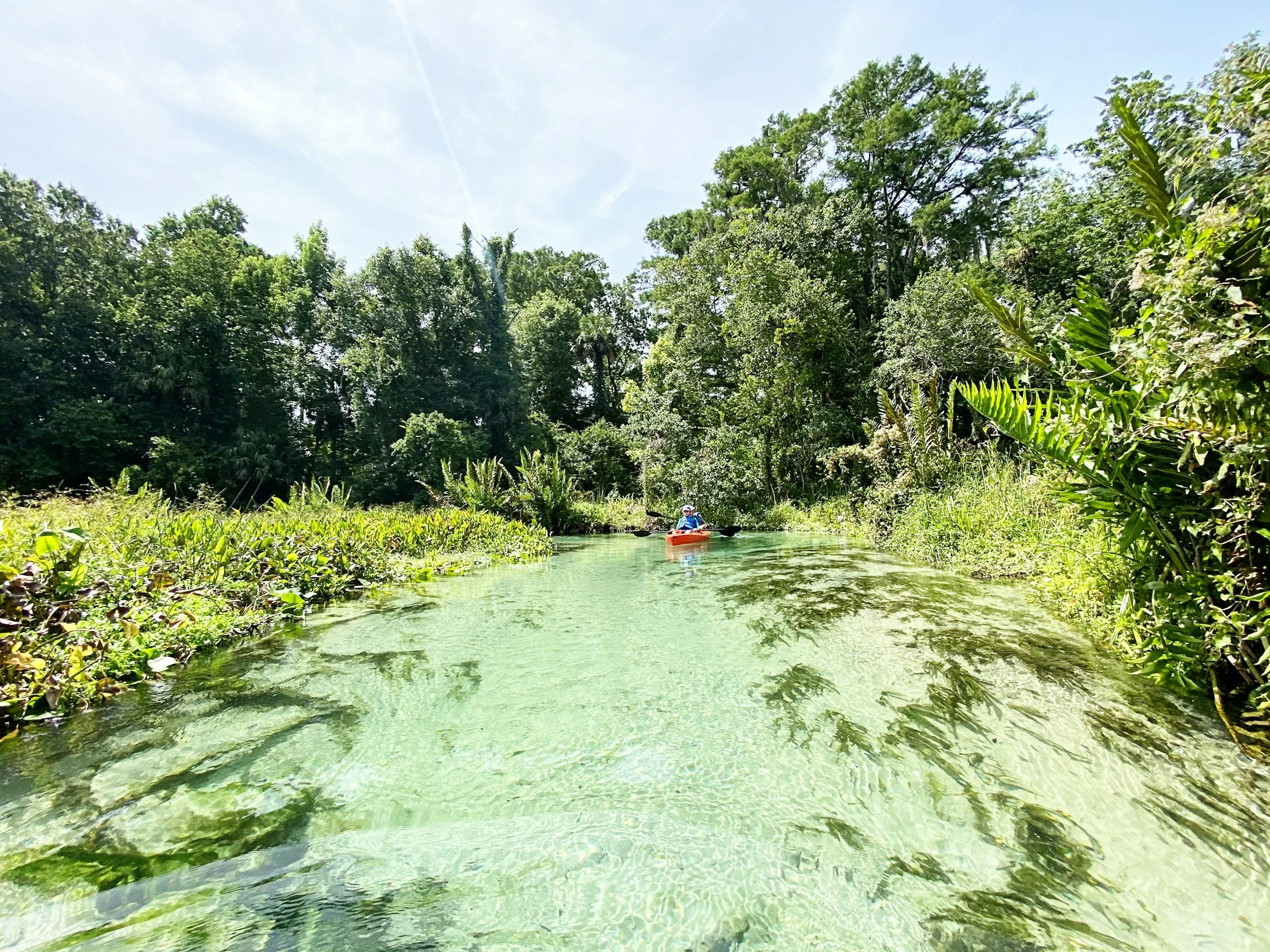 A person in a kayak on a calm, cyan river surrounded by lush trees and vegetation under a partly cloudy sky.