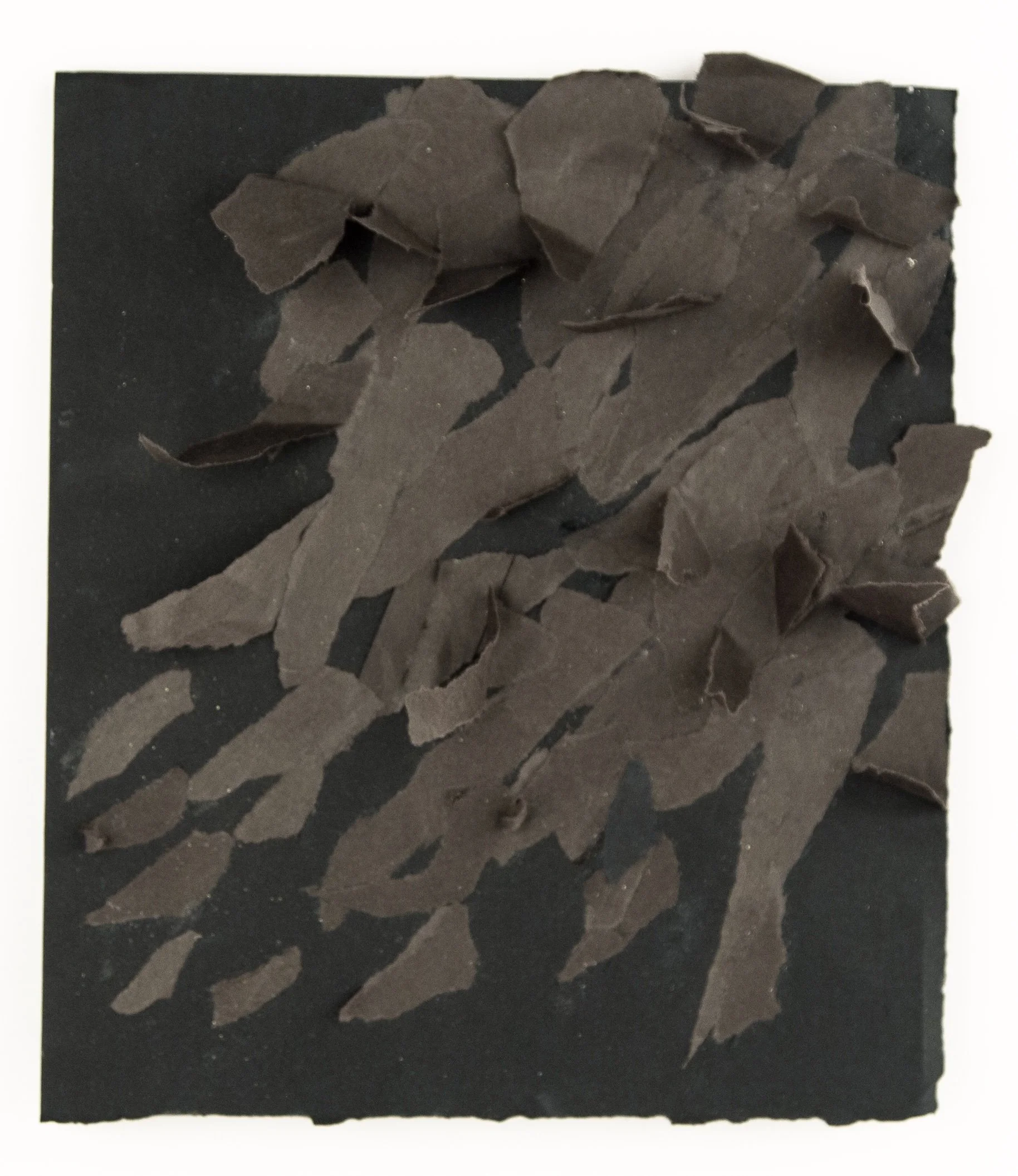 Black Feathers, foam core, paper, glue, 8.5" x 7.5 x 2", 2023