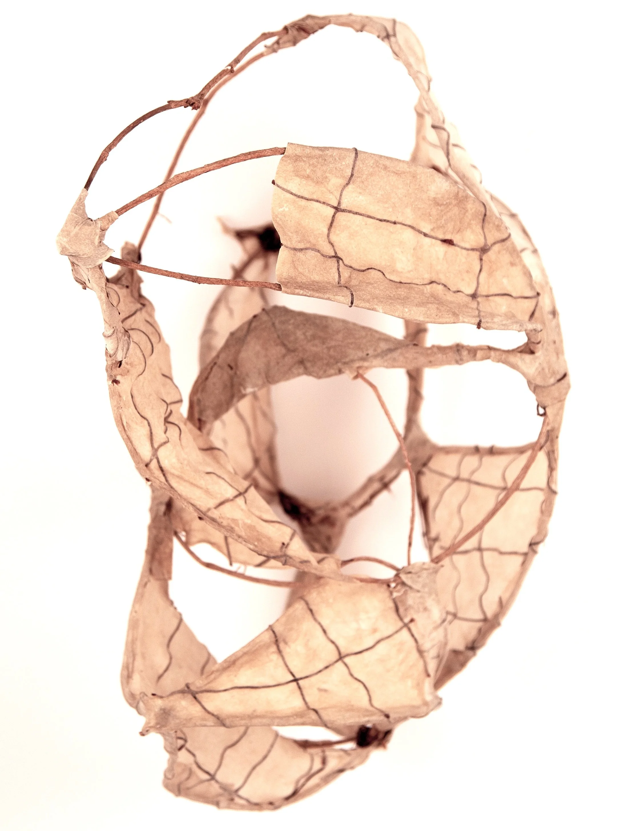 paper experiment, english ivy vine, handmade flax paper, leather thread, methyl cellulose, 16" x 11" x 10",  2021