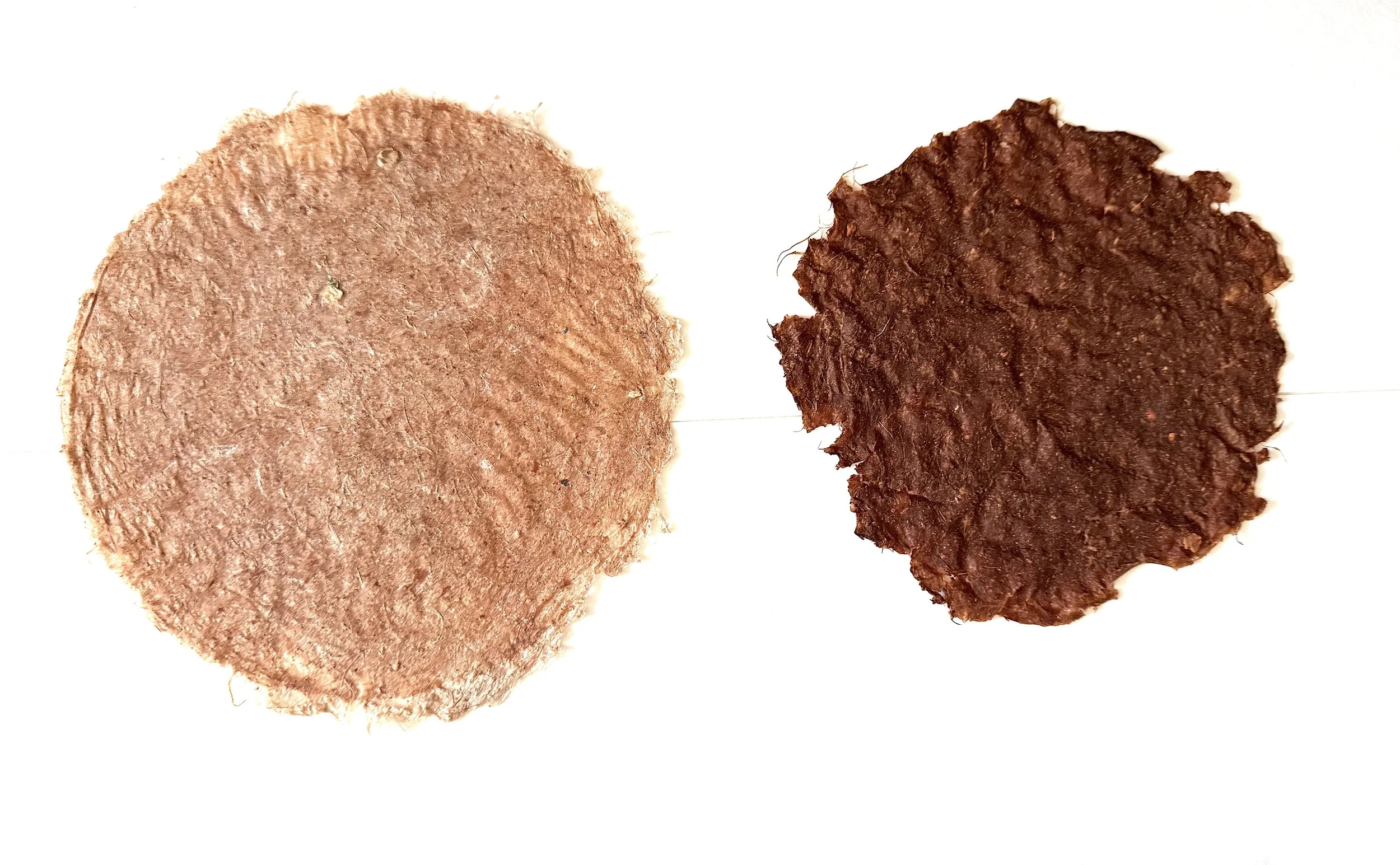 Onion skin handmade paper, 8" x8" (left), 6" x 6"(right), 2022
