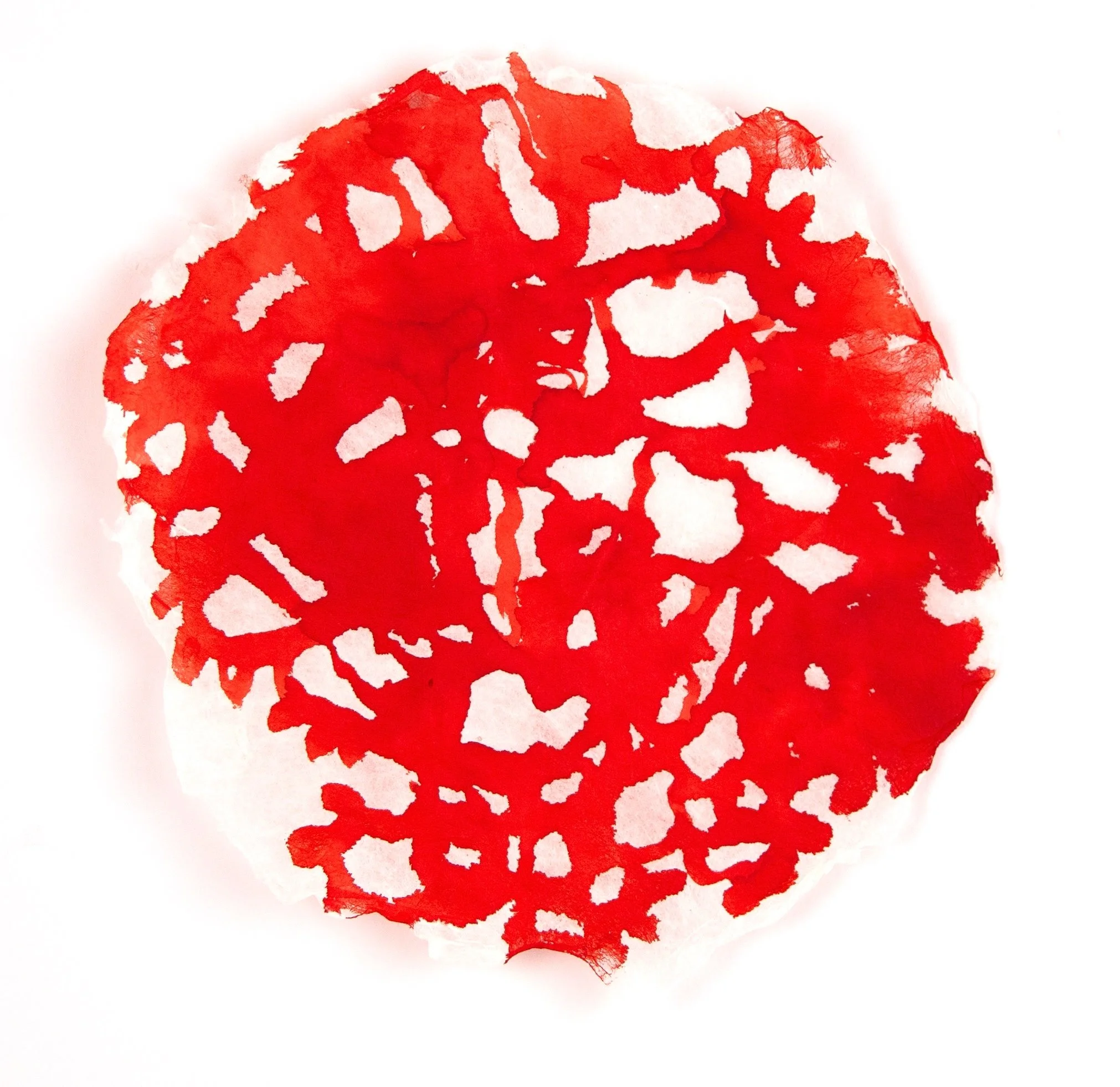 Capillary, handmade kozo paper, japanese ink, 8.5" x 8", 2025