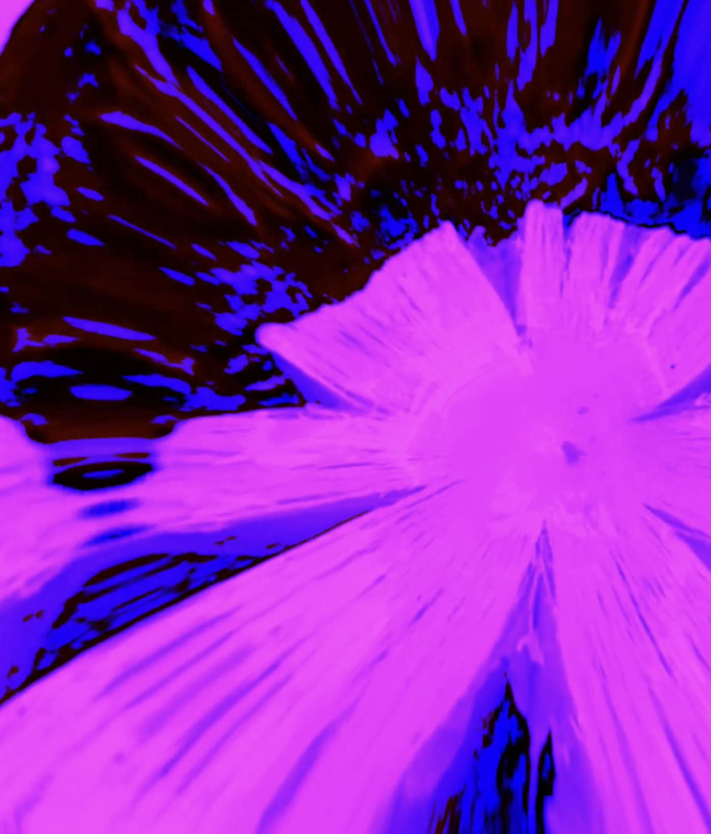 Screenshot 2026-06-01 at 14.27.29.png