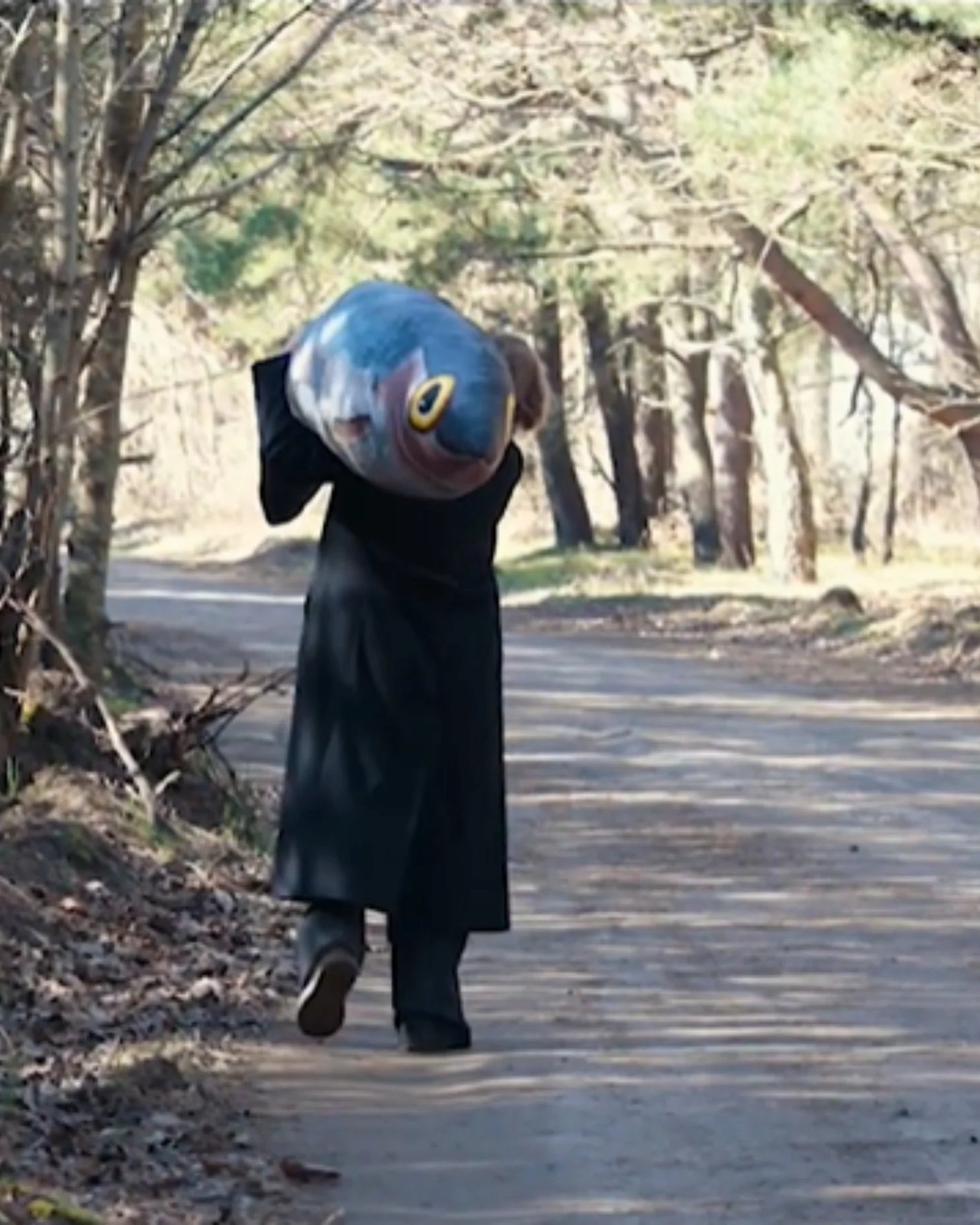 Vita Plavšić — Herring (2025)

"Herring" (2025) is a highly atmospheric, conceptual short art film where the artist, known for her deeply introspective work that blends mundane everyday routines with surreal, dreamlike psychological landscapes, Plavš