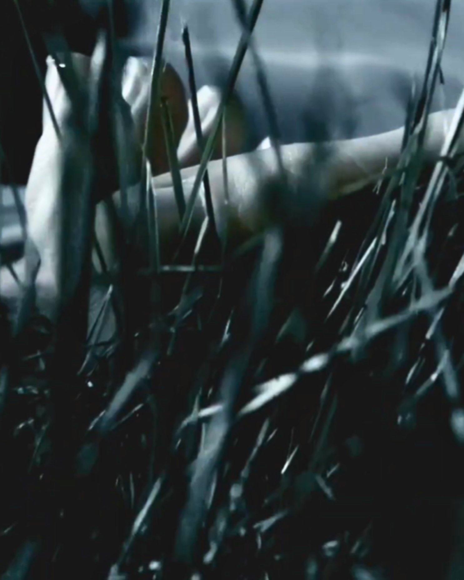 tannelvits — Cunticles (2021)
Russia · Post-modernism
"Cunticles" (2021) is a provocative, boundary-pushing experimental art film and audio-visual exploration by the underground electronic musician and multimedia artist tannelvits. Known for crafting