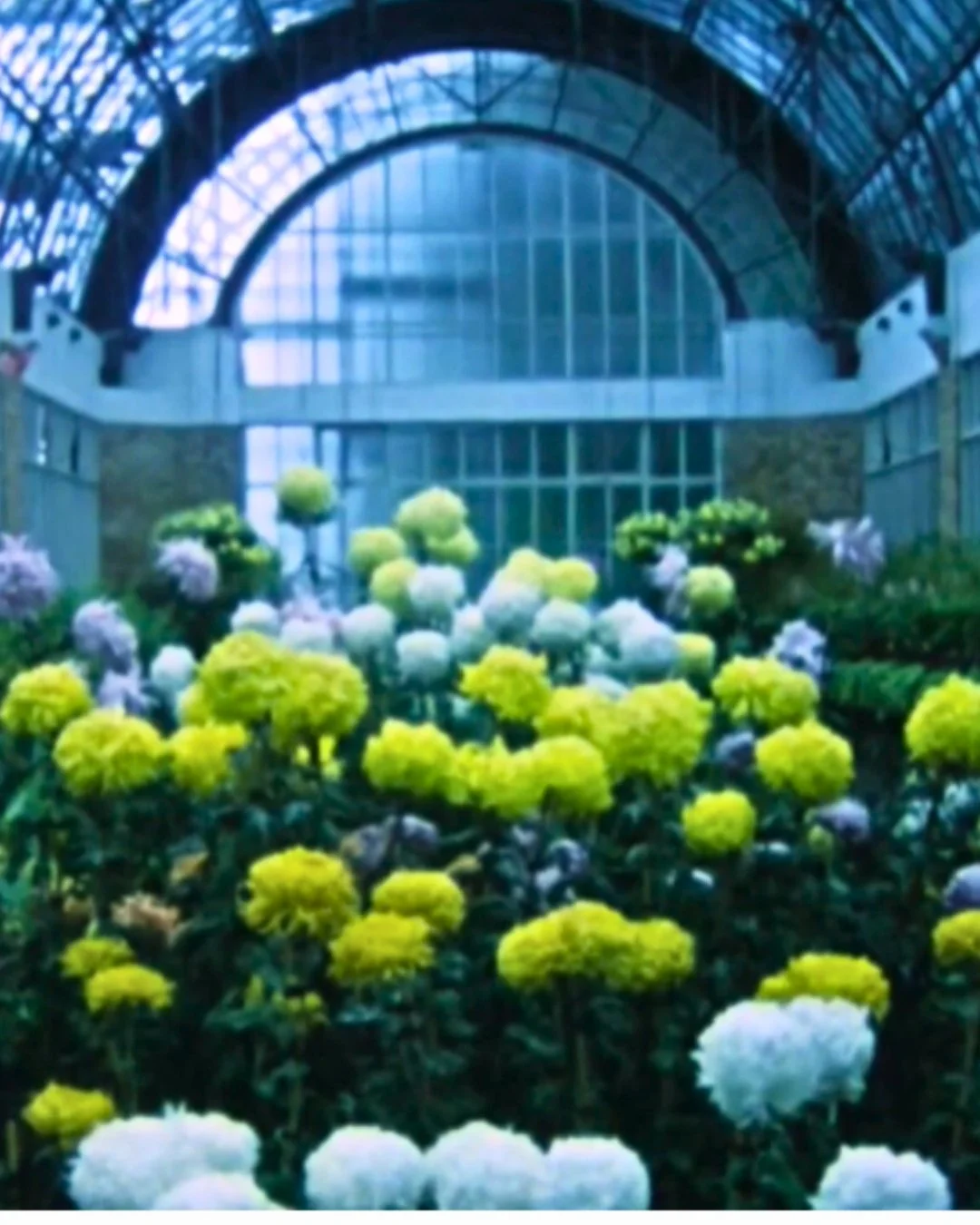 Theo Macdonald — The Oshima Gang (2025)
New Zealand · Psychogeography
"The Oshima Gang" (2025) is a 20-minute experimental documentary which functions as an architectural critique of an environment, inviting viewers to sit with the strange, uneasy di
