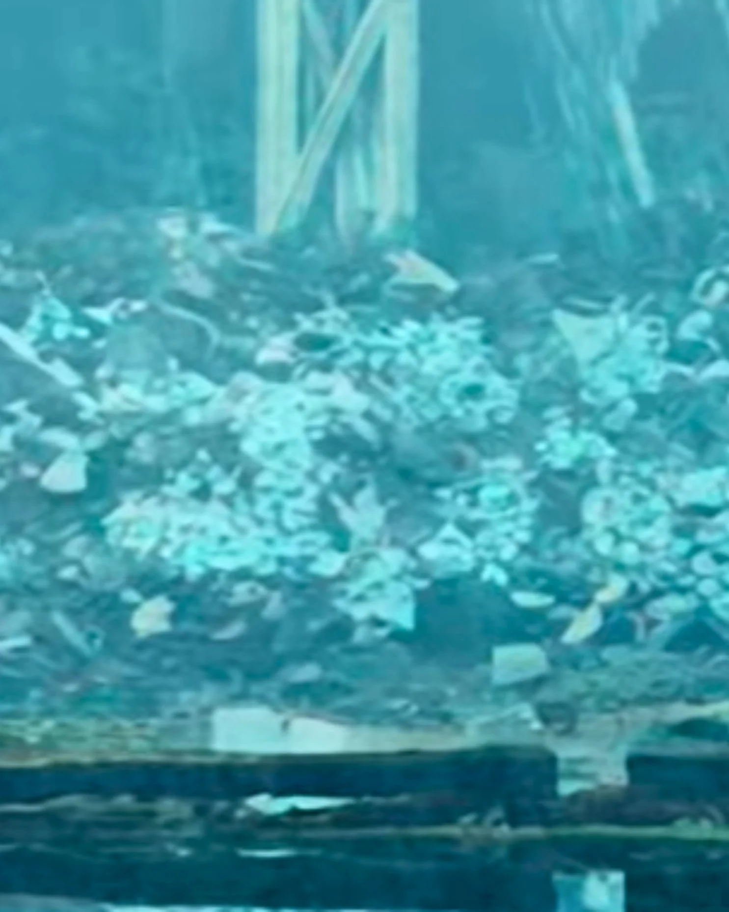 Wenwen Deng — New Travelogue: Mayflys (2025)
United Kingdom · Post-Humanism
Blending traditional landscape aesthetics with futuristic digital rendering, the film functions as a modern, speculative reimagining of classical travel literature. It uses t