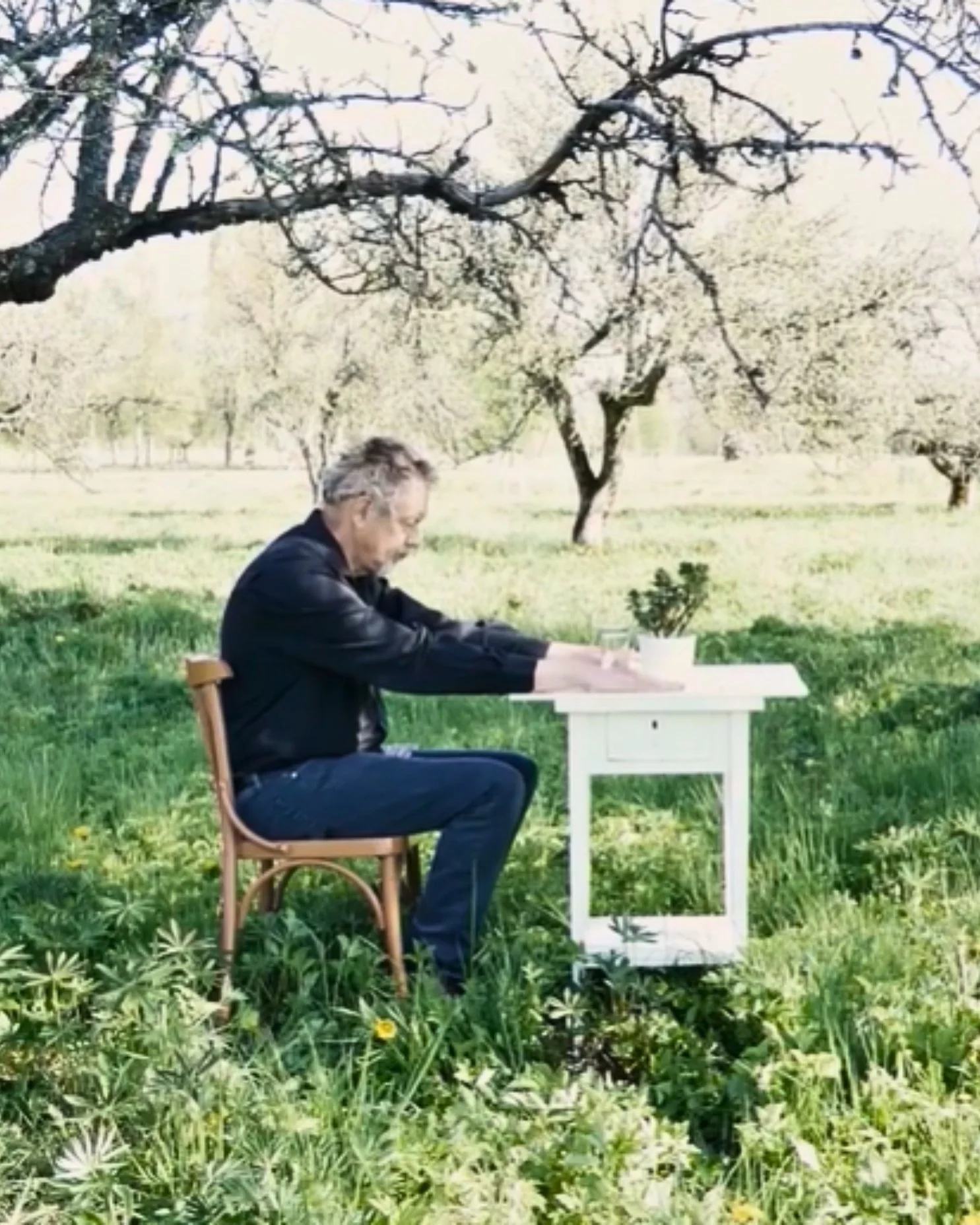 Johannes Christopher Gerard / Nathalie Launay — The Plant (2023)
Netherlands · Post-Humanism
Operating at the intersection of video art, ecological critique, and psychological abstraction, the film is a mesmerizing sensory study that blurs the bounda
