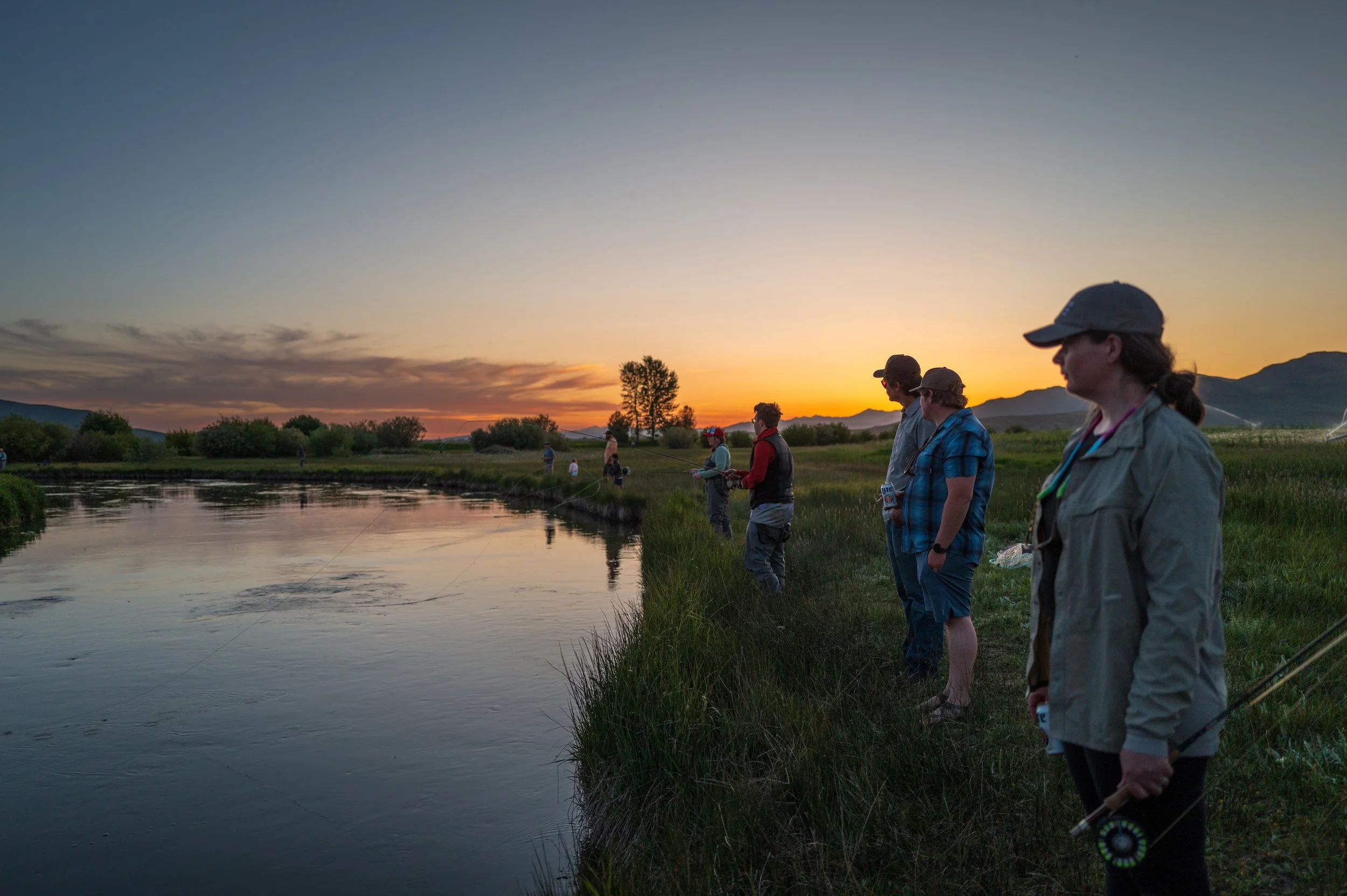 Morning BWO, PMD &amp; Trico Technical Dry Fly Outing - Silver Creek
