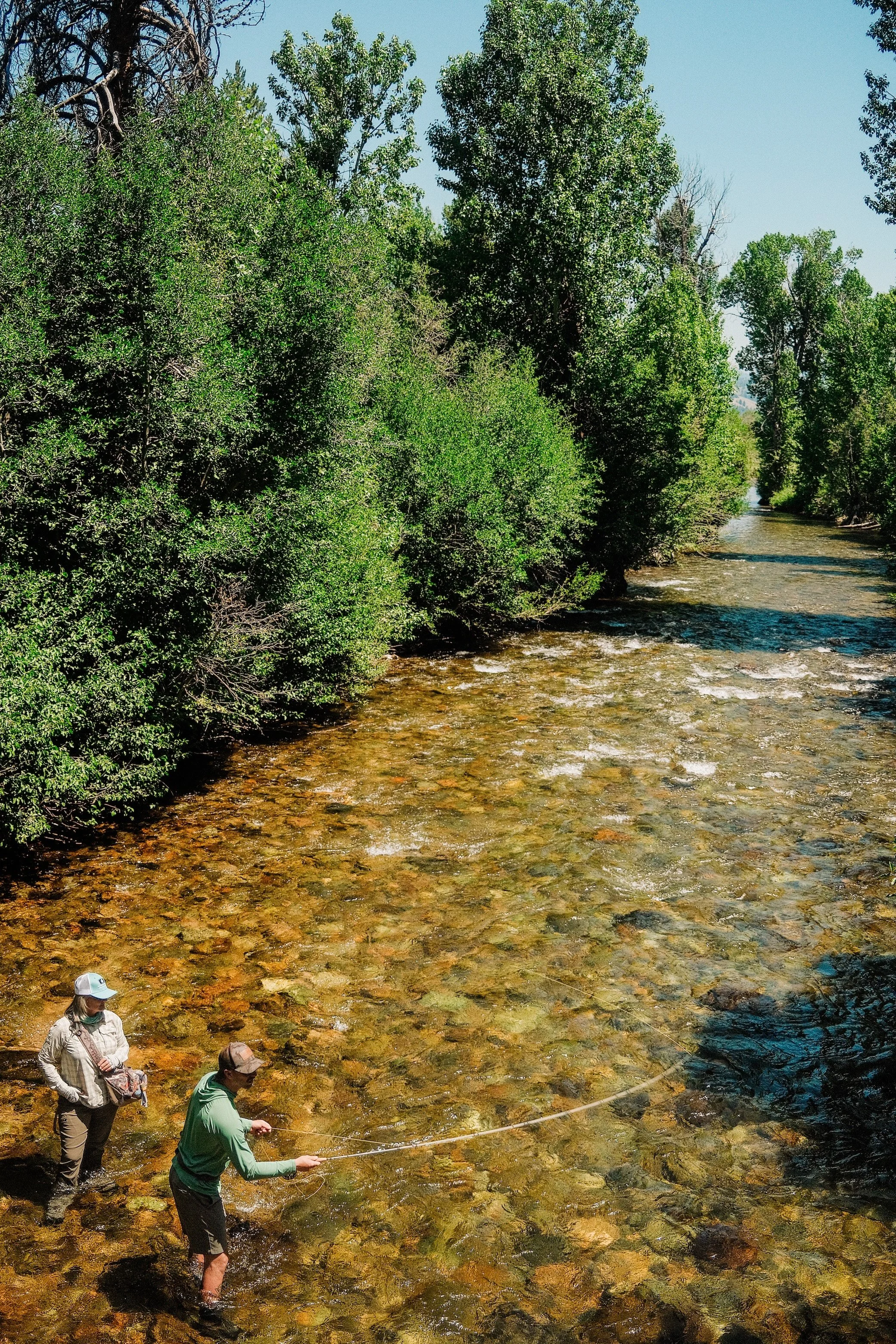 Evening Terrestrial Outing - Big Wood River