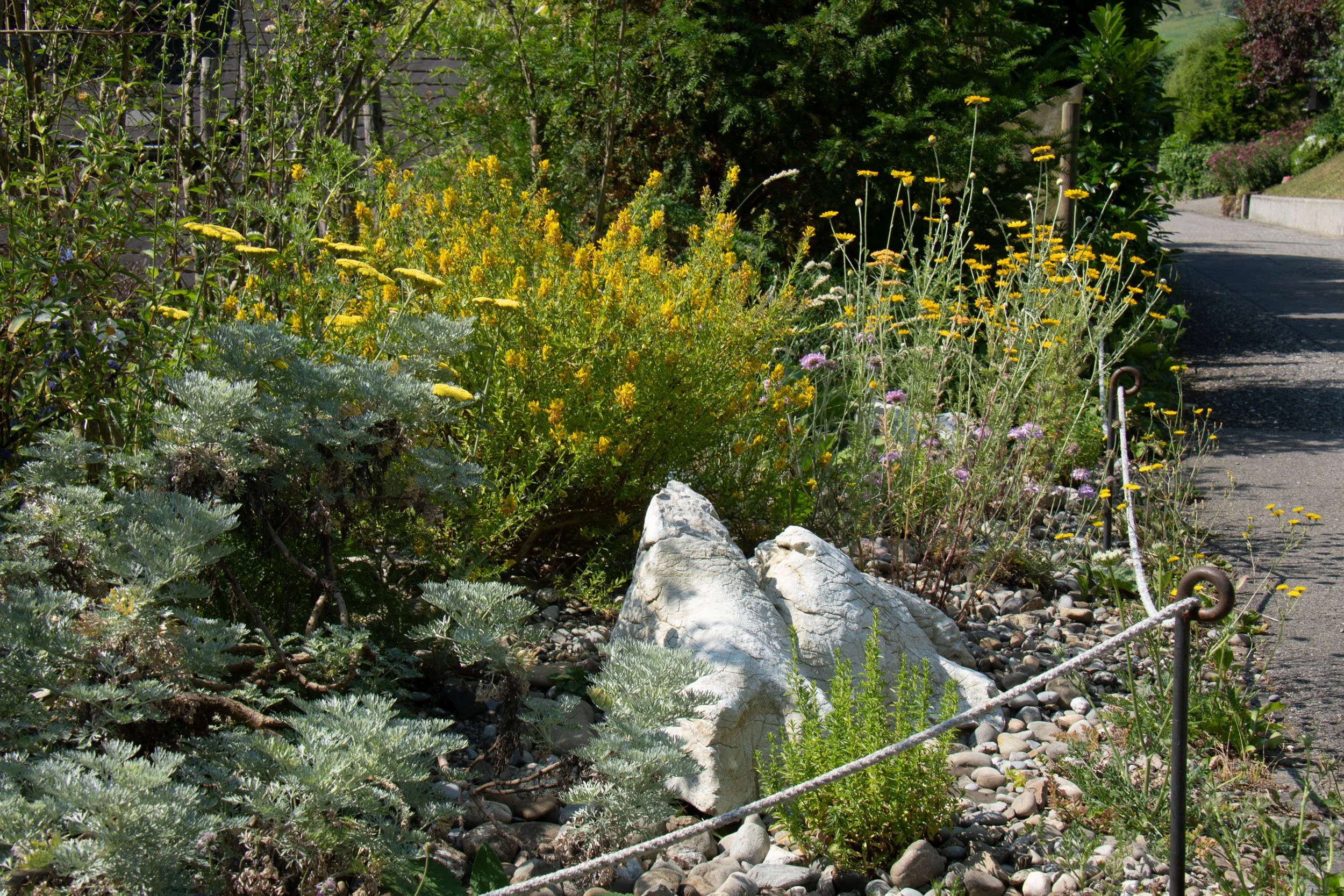 Zollinger_Stettler_strukturen-03.jpg
