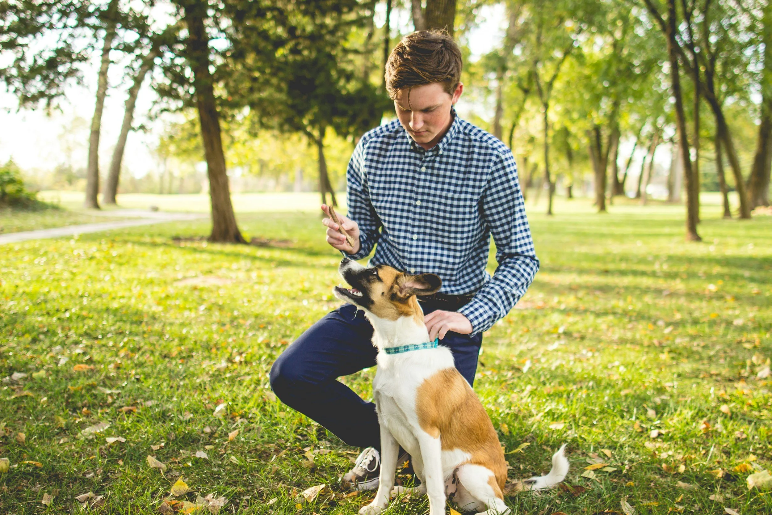 A young man in a checkered shirt sitting on the grass in a park, playing with a brown and white dog during daytime.