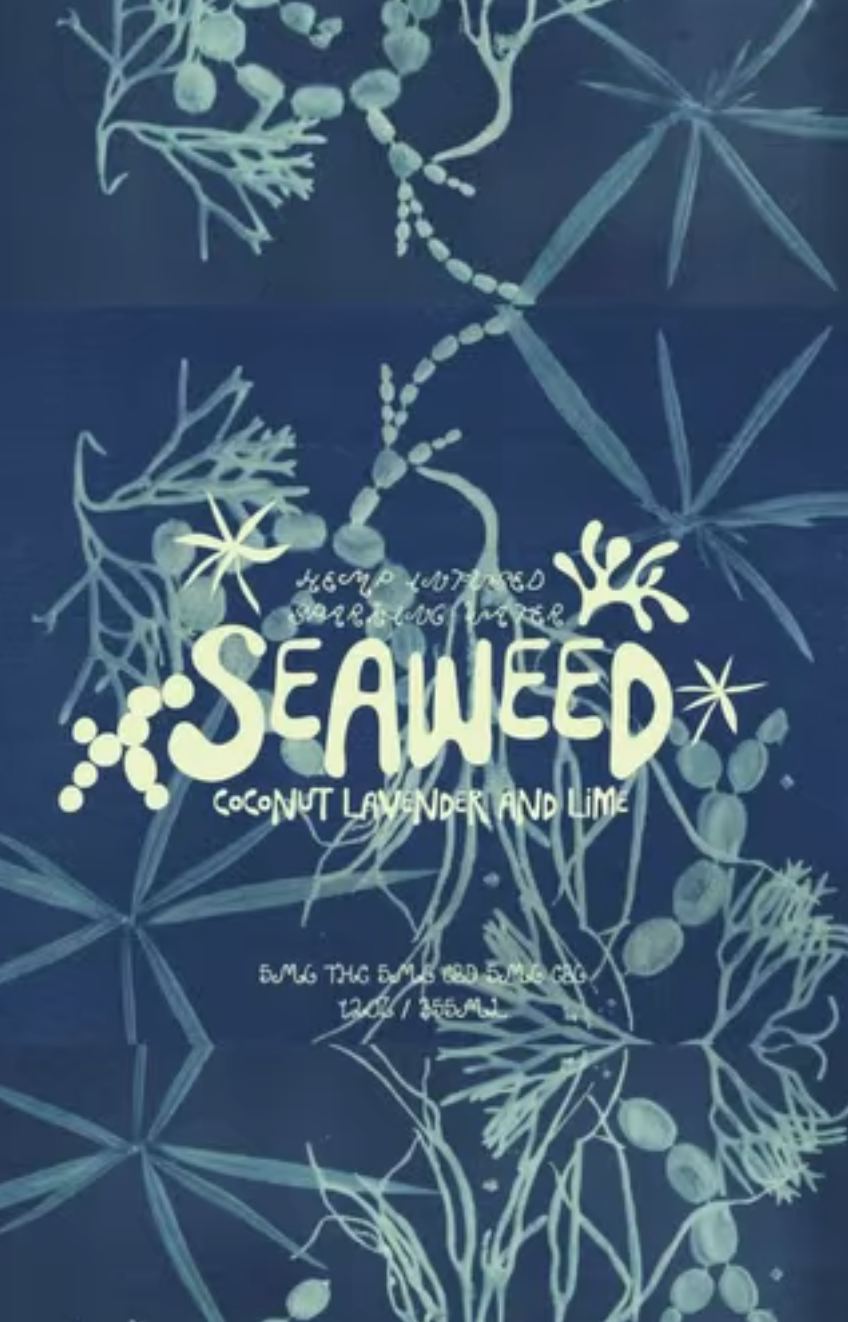 Seaflower & Sister Fonts | Seaweed by Swells a Brewing