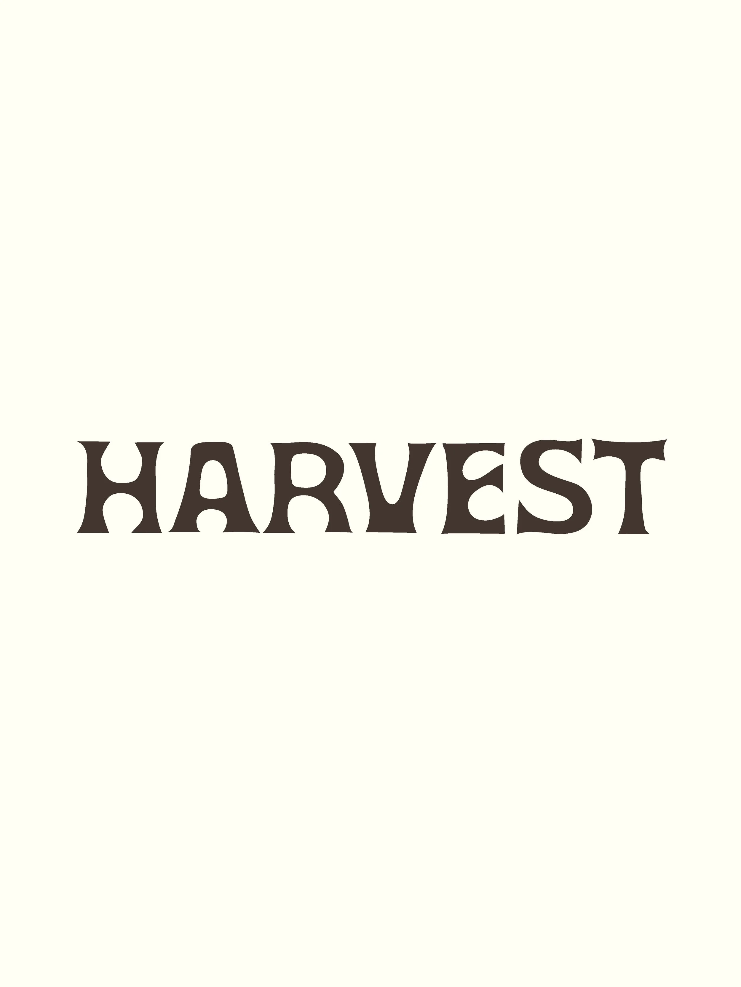 Fonts_listing_Website-01.jpg