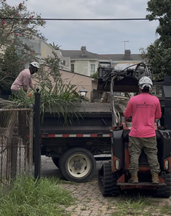 Hurricane Season 2026: What Every New Orleans Homeowner Should Know About Their Trees