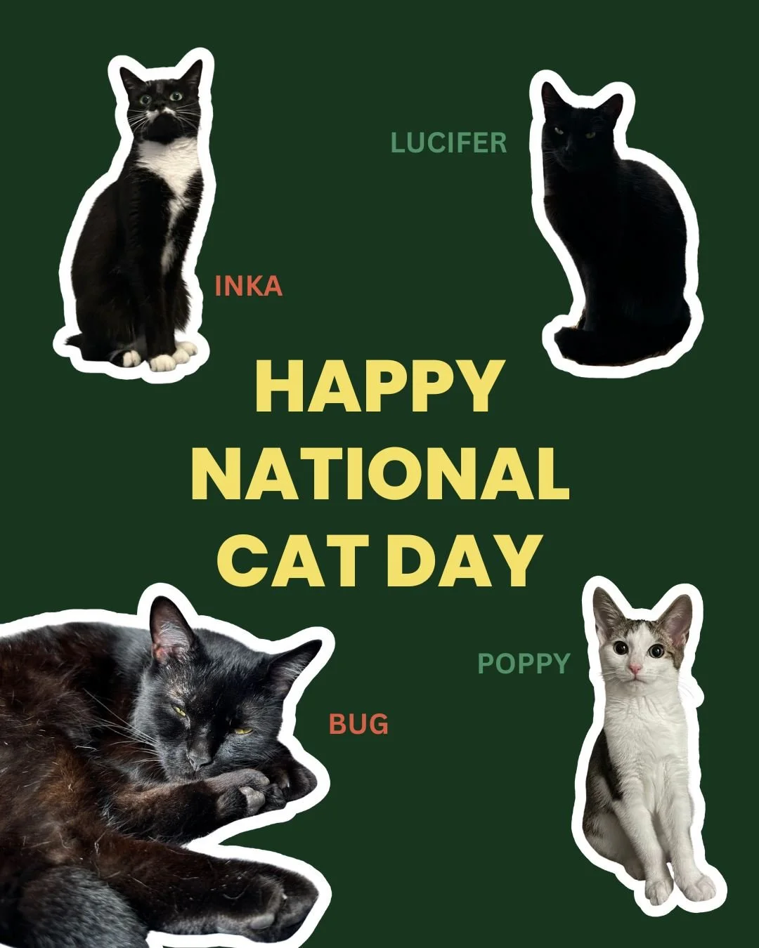Happy National Cat Day! 🐈

As many of you may know our studio is ran with the assistance of four furry friends! Here are their friendly little faces! Some are HR reps and some are Studio Assistants, either way they help us get your projects together