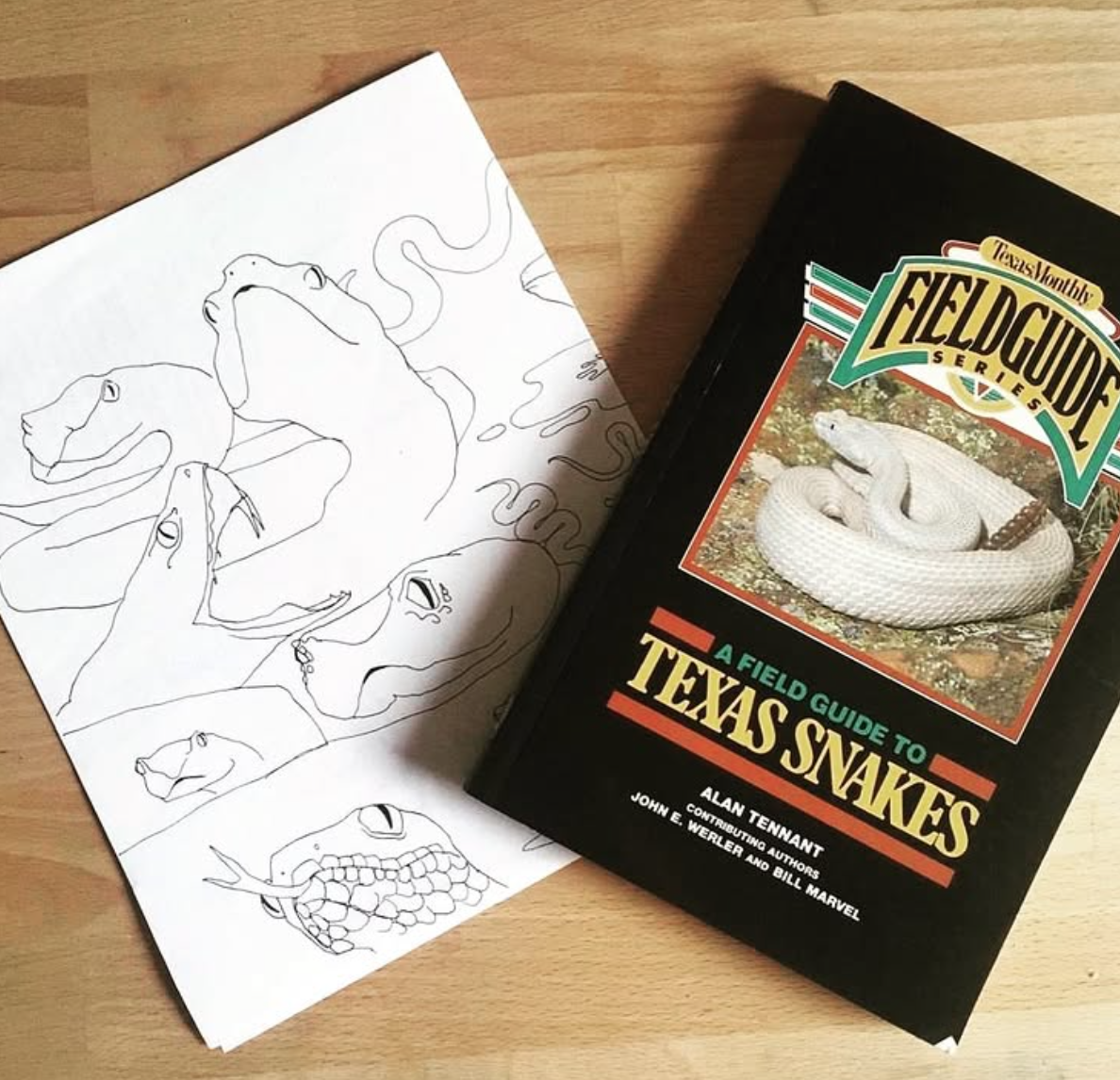 Screen Shot 2026-01-26 at 11.05.00 AM.png