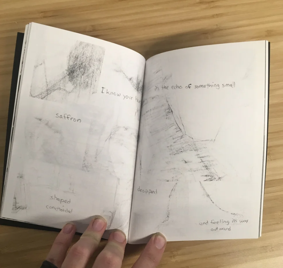 Screen Shot 2026-01-24 at 12.50.59 PM.png