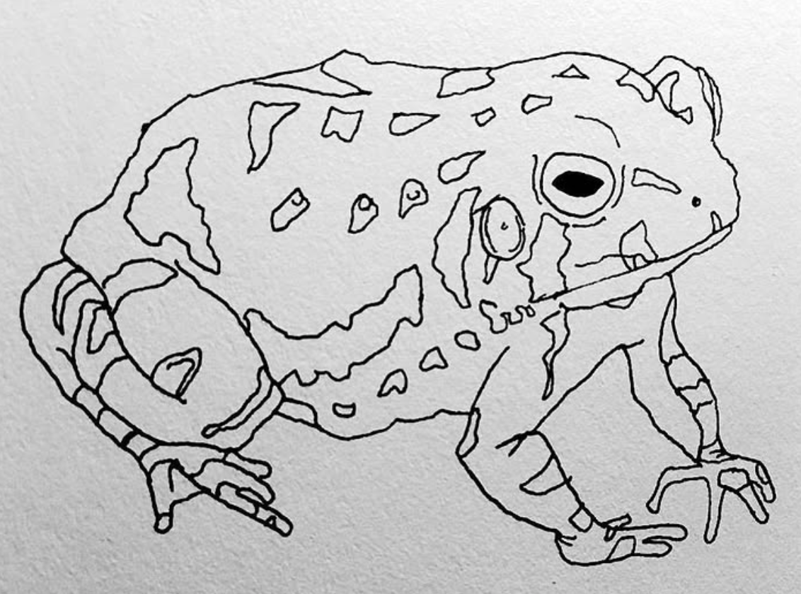 Screen Shot 2026-01-26 at 11.04.44 AM.png