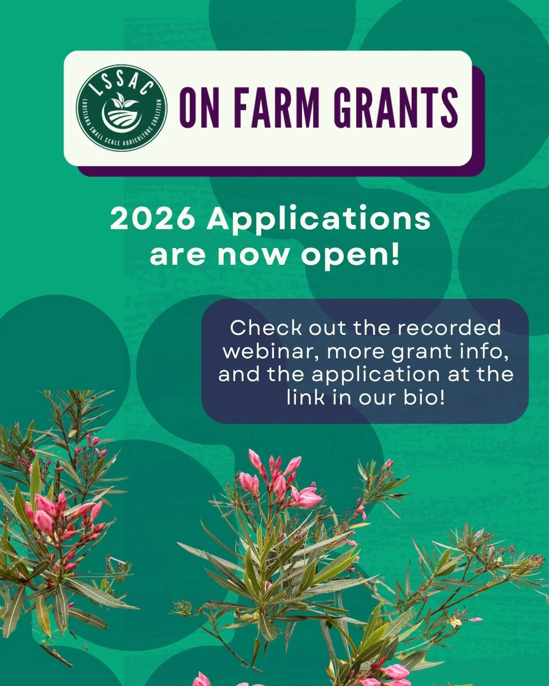 📝🍅🍊 On Farm Grant 2026 Applications are open! 

🎥 Check out the recorded webinar from last Friday and our website details for more info about the grant program at the link in our bio!

🤝 Our TA network is available to support you in the applicat