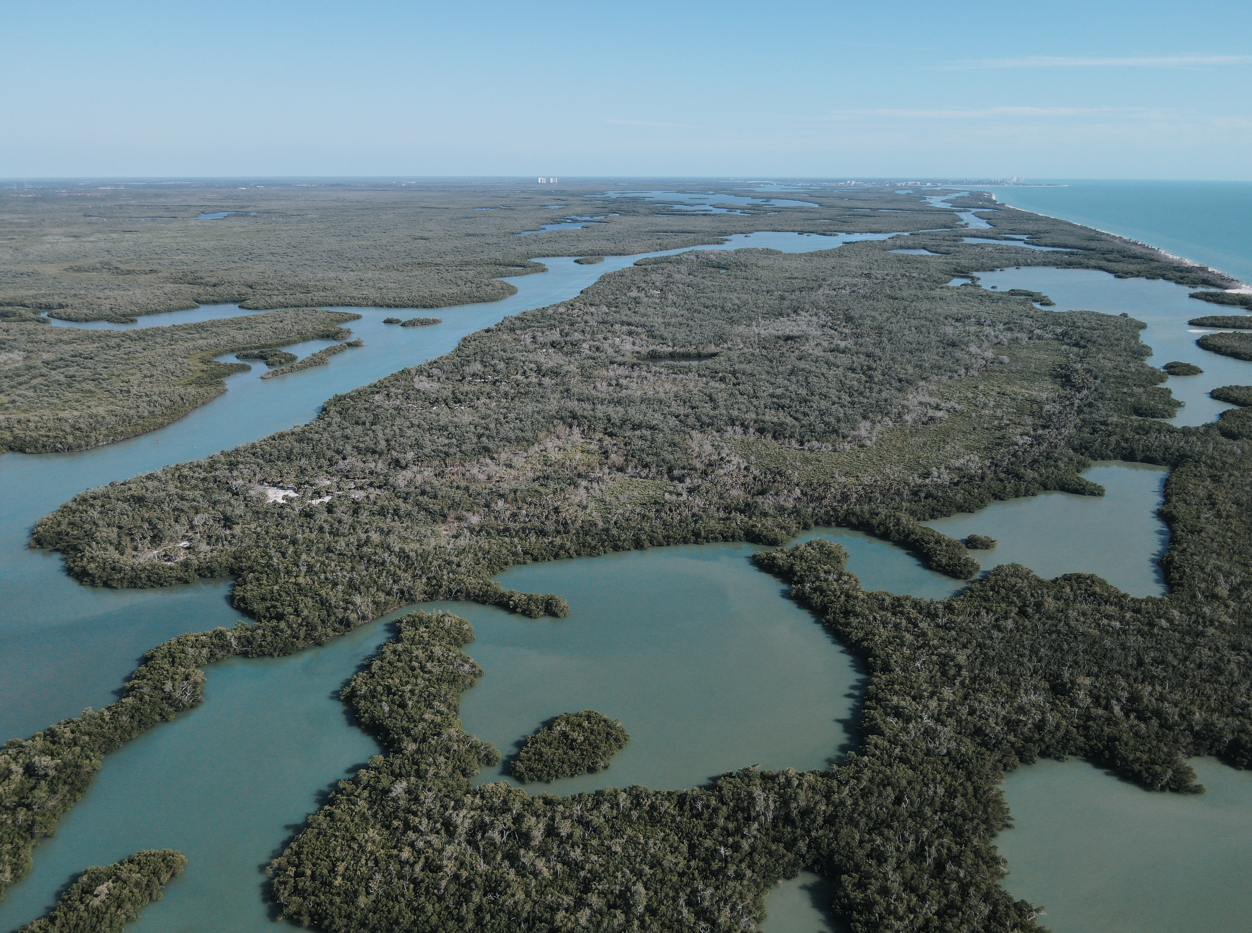 Aerial view of a wetland area with numerous winding waterways and dense green mangrove trees stretching out to the horizon near the coastline.