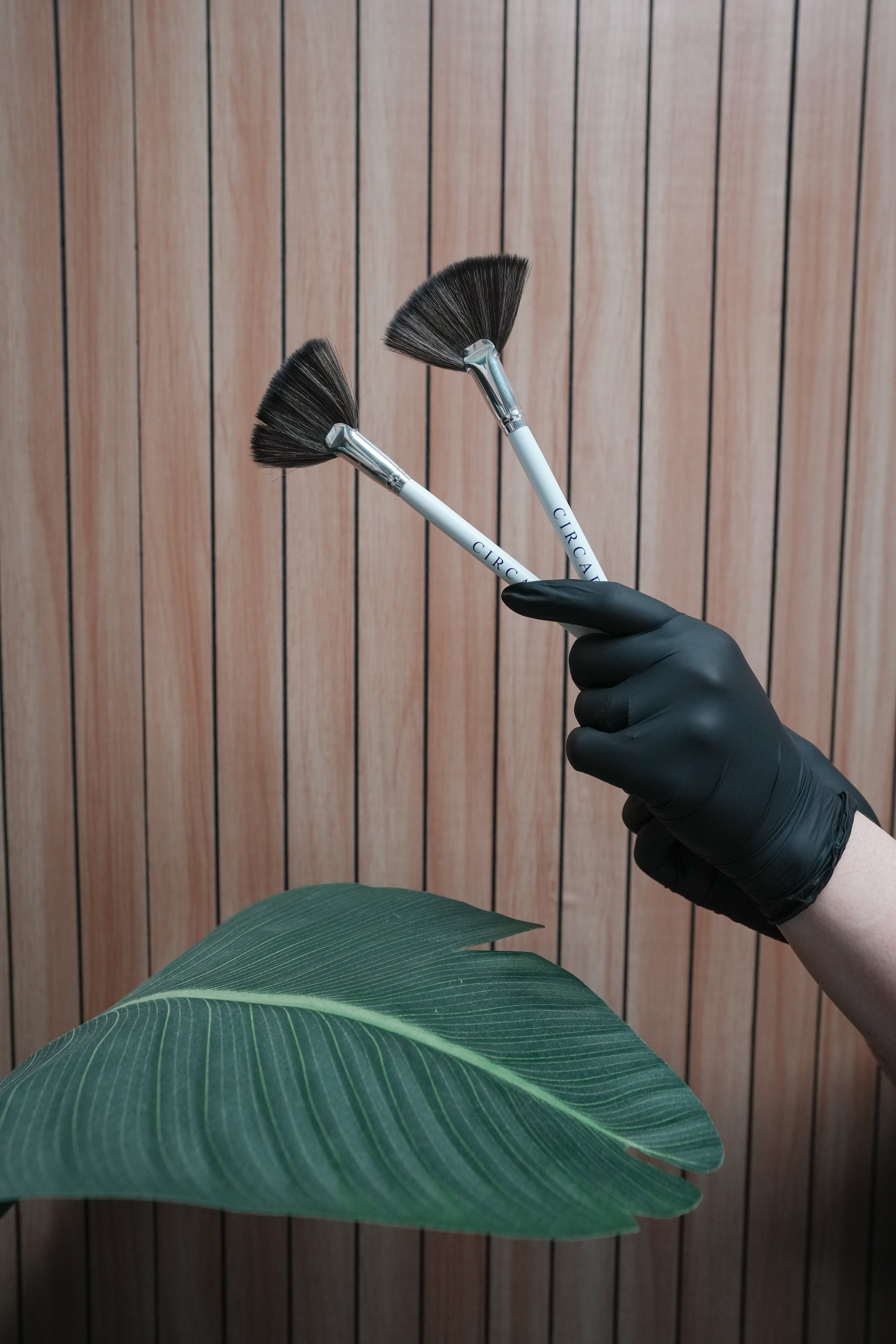 A hand in a black glove holding two makeup brushes labeled 'CIRCULA' against a wooden panel background, with a large green leaf blooming in the foreground.
