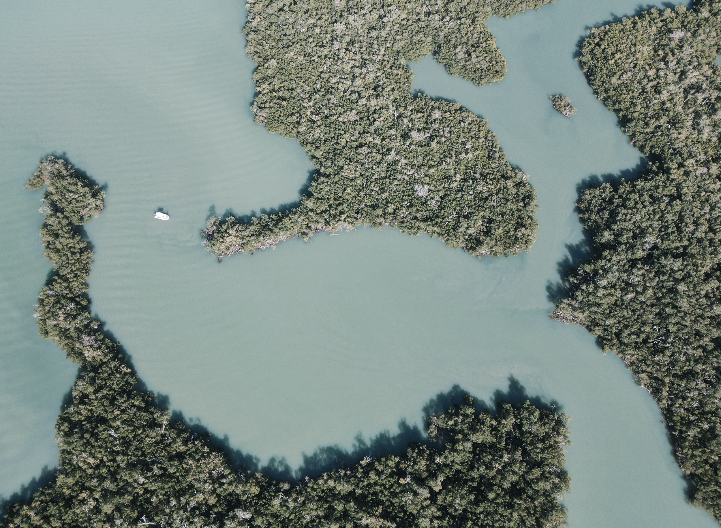 Aerial view of a river with a boat and surrounding forested islands.