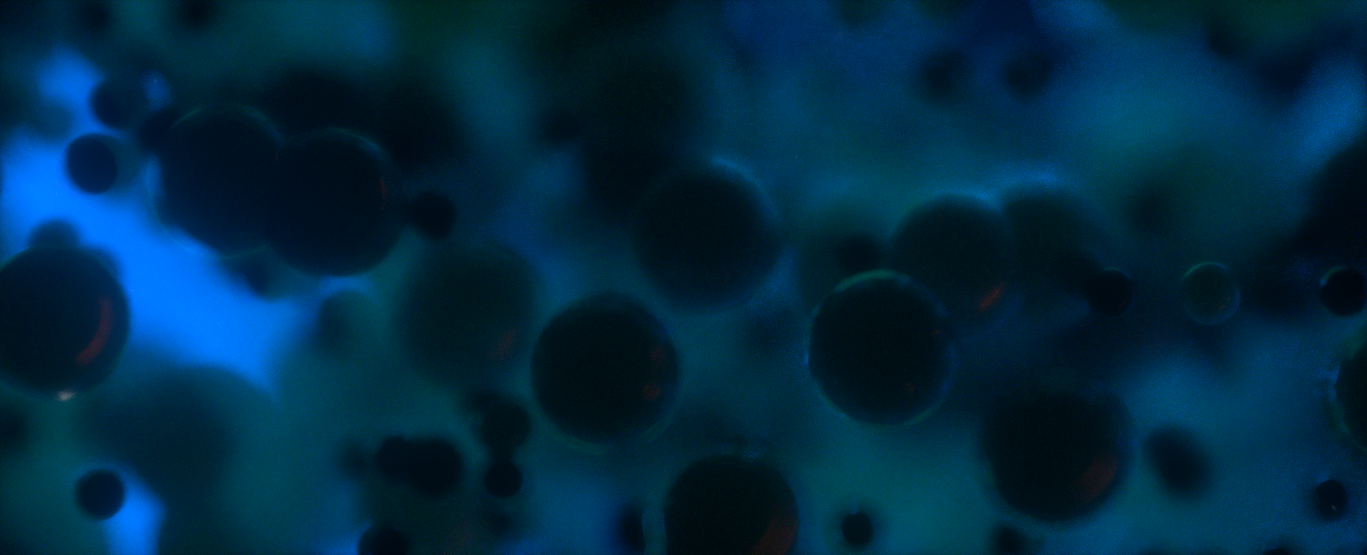 Image0008.png