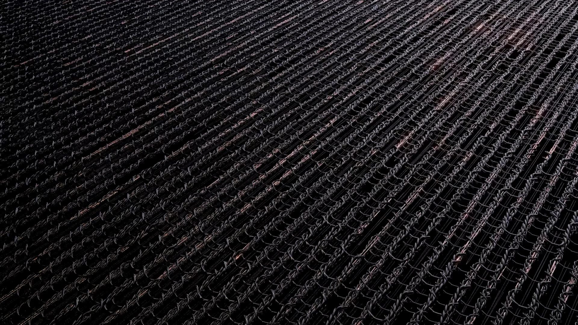 MACRO 1_0001_94301_Custom2.jpg