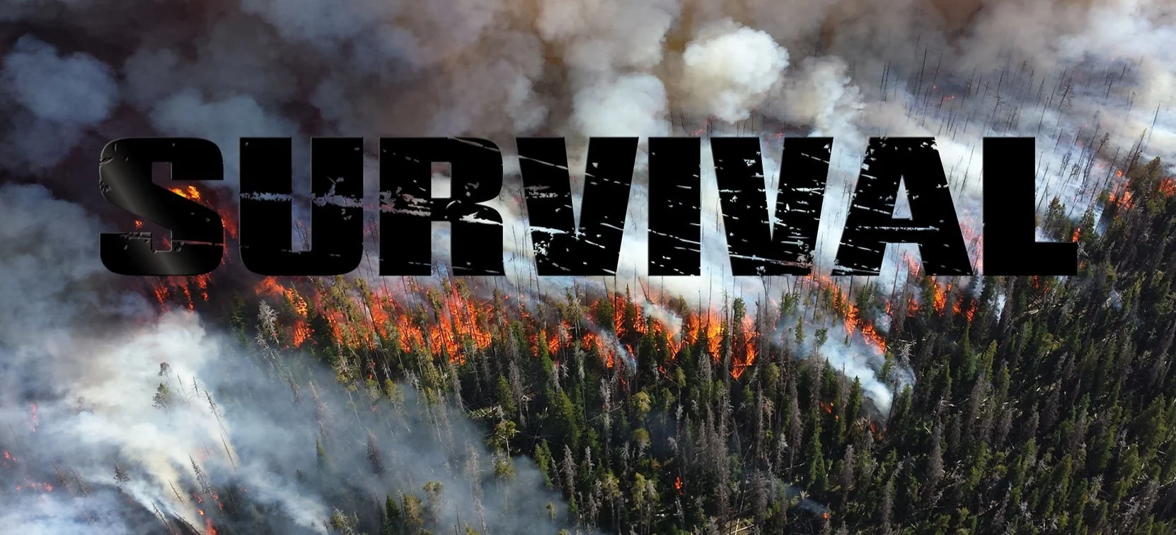 Nick Ito_work examples_Page_08_Image_0002.jpg