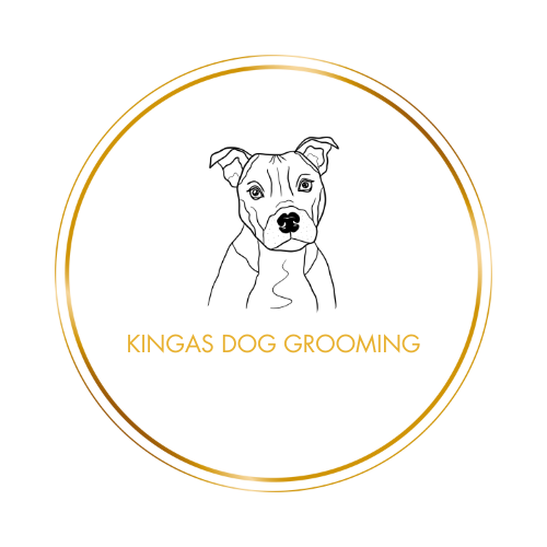 The Foundation of Longevity in Dogs