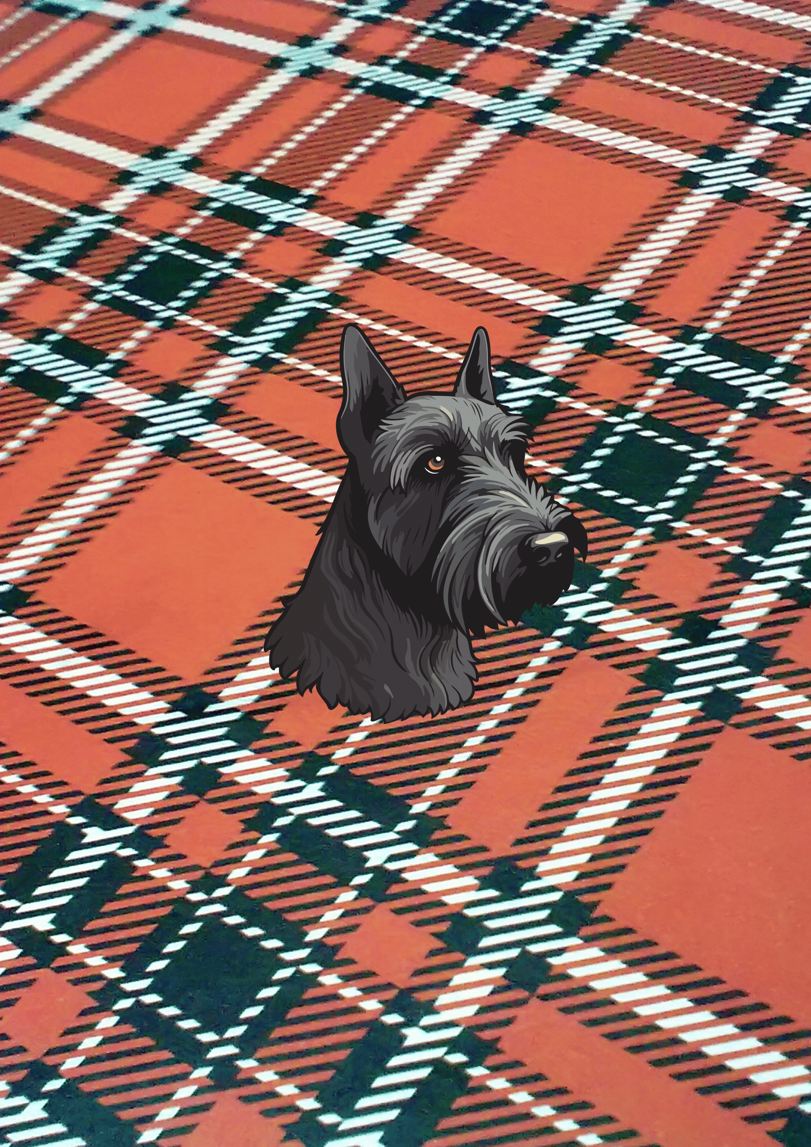 Popular Dog Names in Scotland for 2024 Trends 