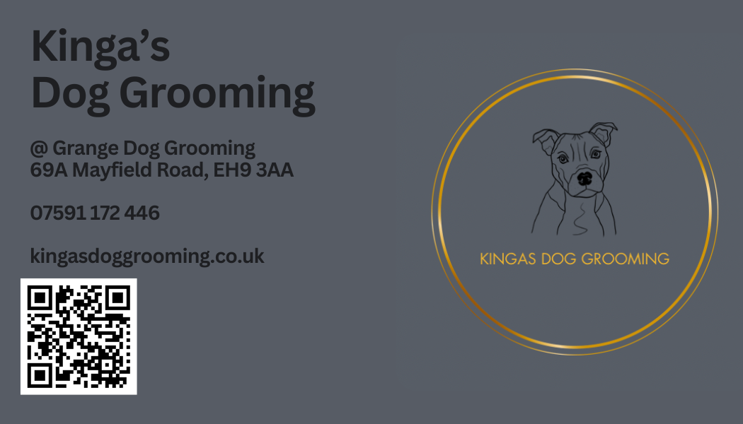 Recognising and Treating Canine Behavioural Problems