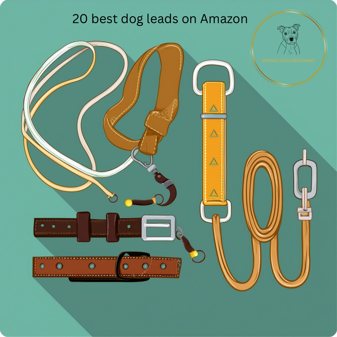 20 Best Dog Leads on Amazon UK for Every Behaviour