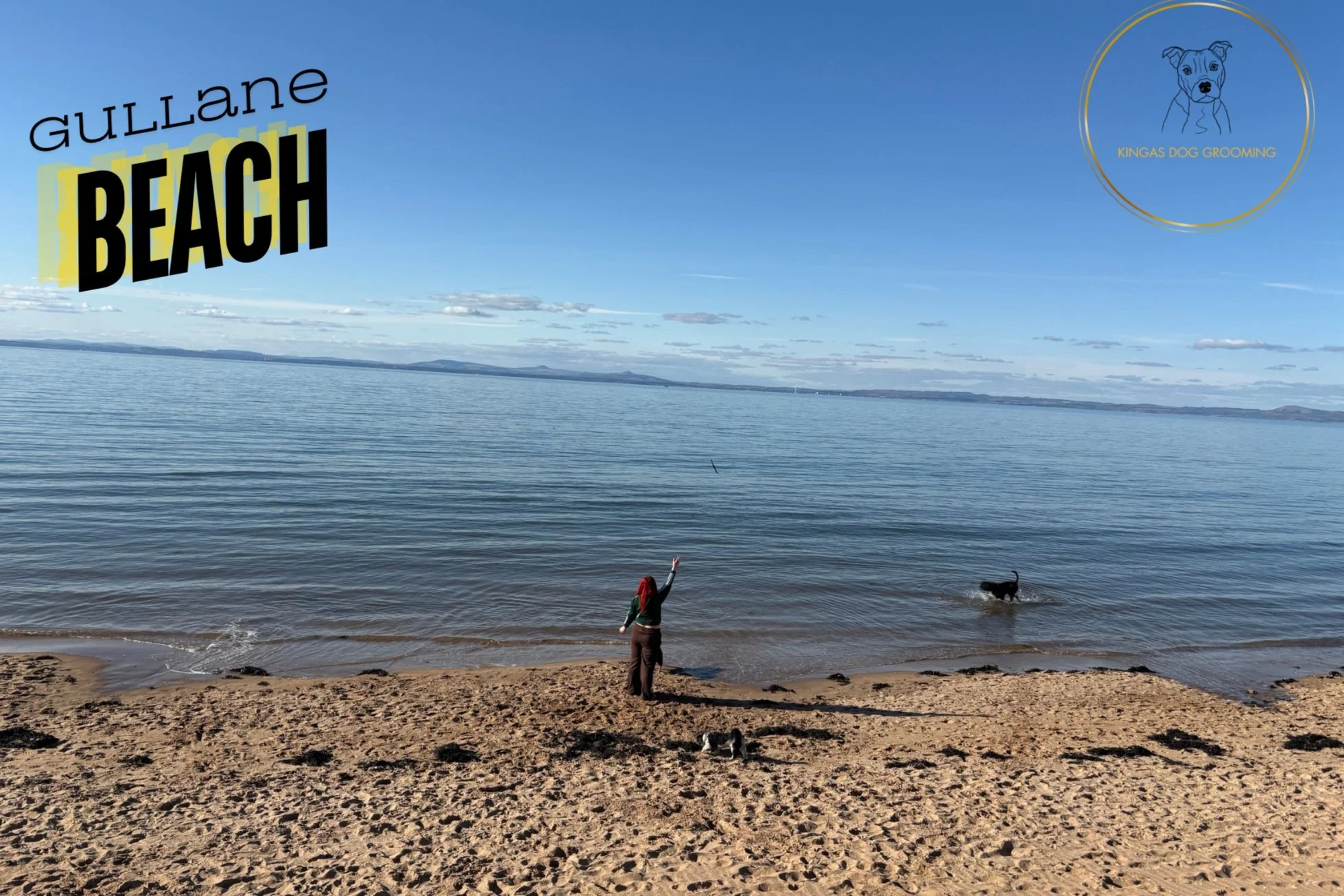 Discover Edinburgh’s Best Dog Friendly Beaches