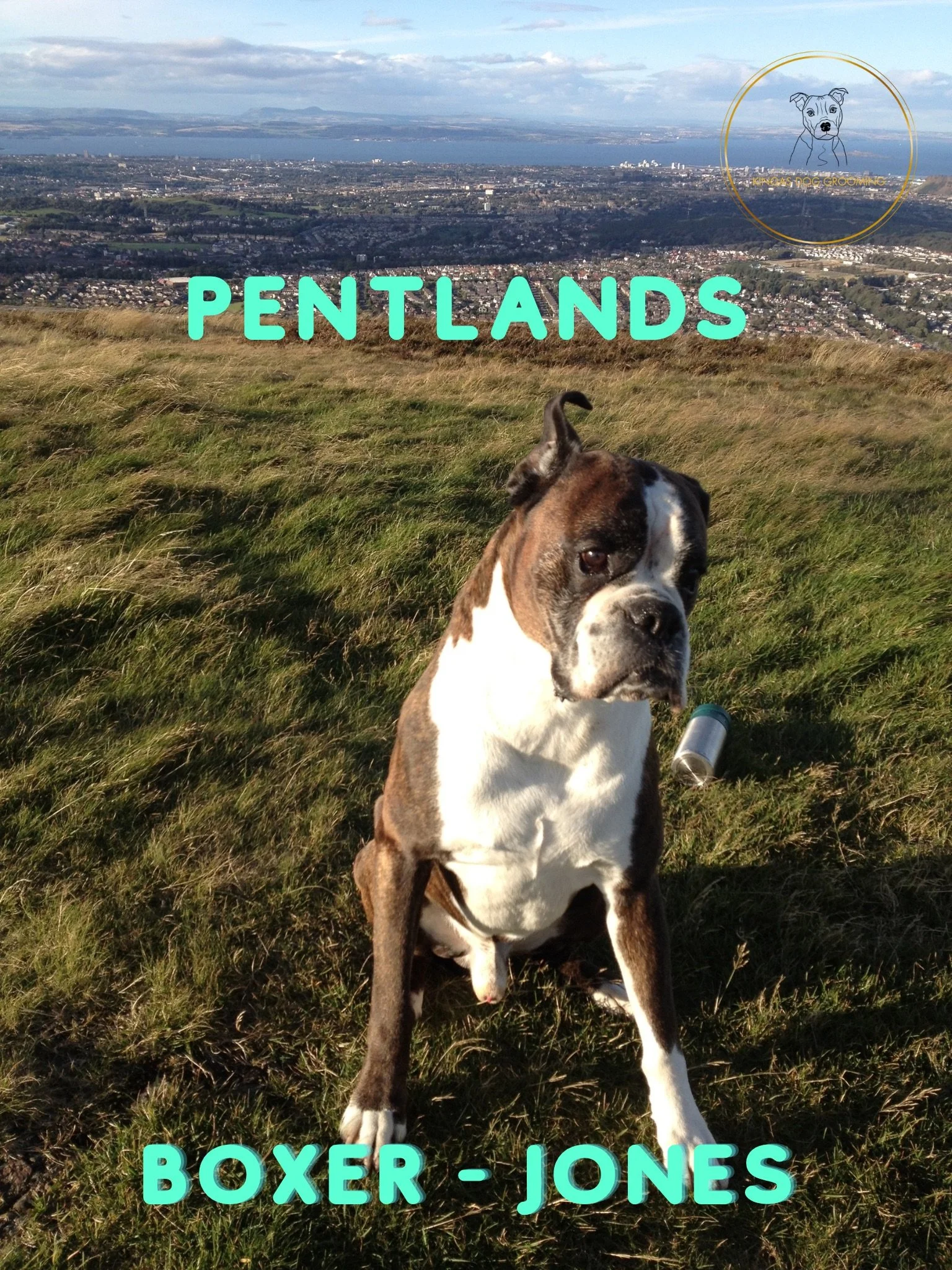 Discover the Best Dog-Friendly Spots in Edinburgh 