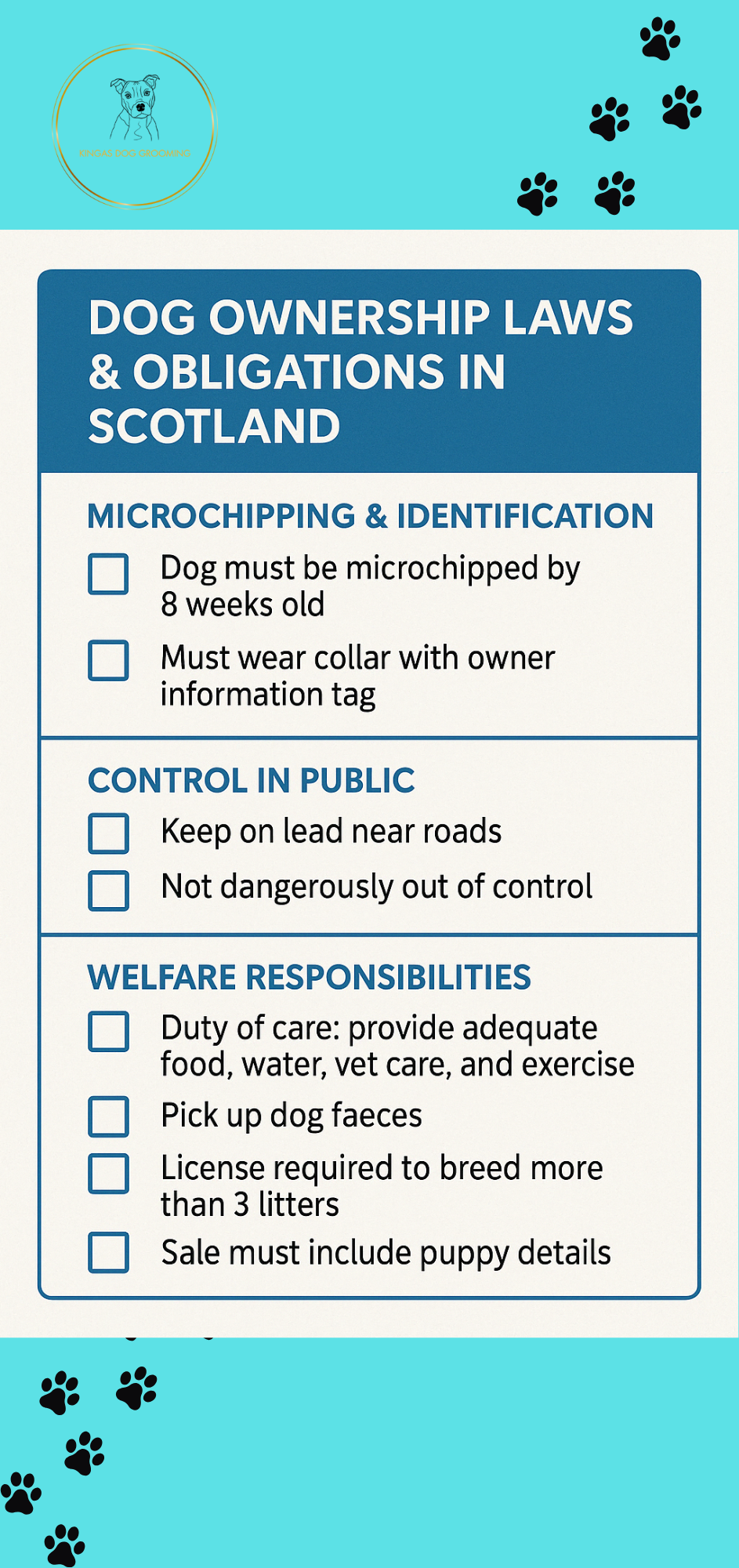 Dog Ownership Laws in Scotland: Beyond Breed Bans