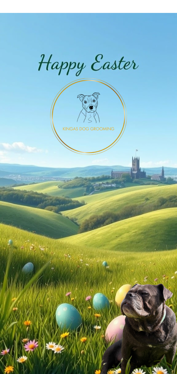  5 Nutritious Homemade Easter Treats for Dogs: 