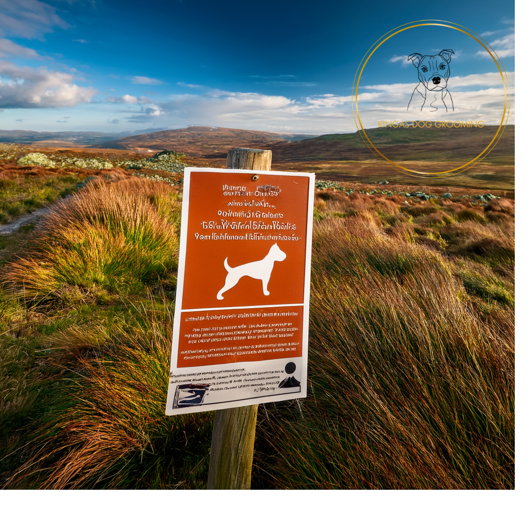 Dog Control Notices : What Owners Should Know