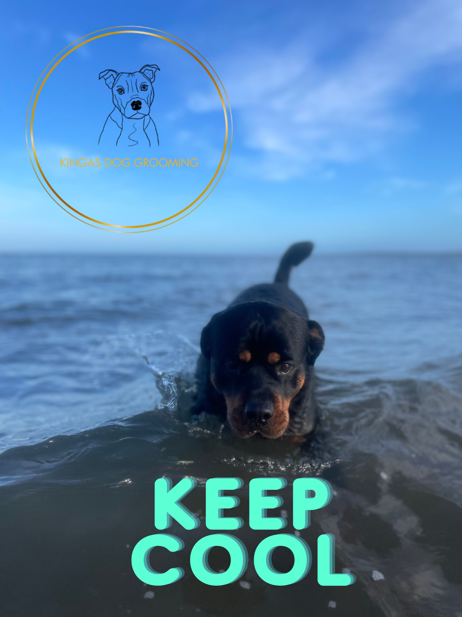 Summer Grooming Tips: Keep Dog’s Cool in Scotland’s Heat