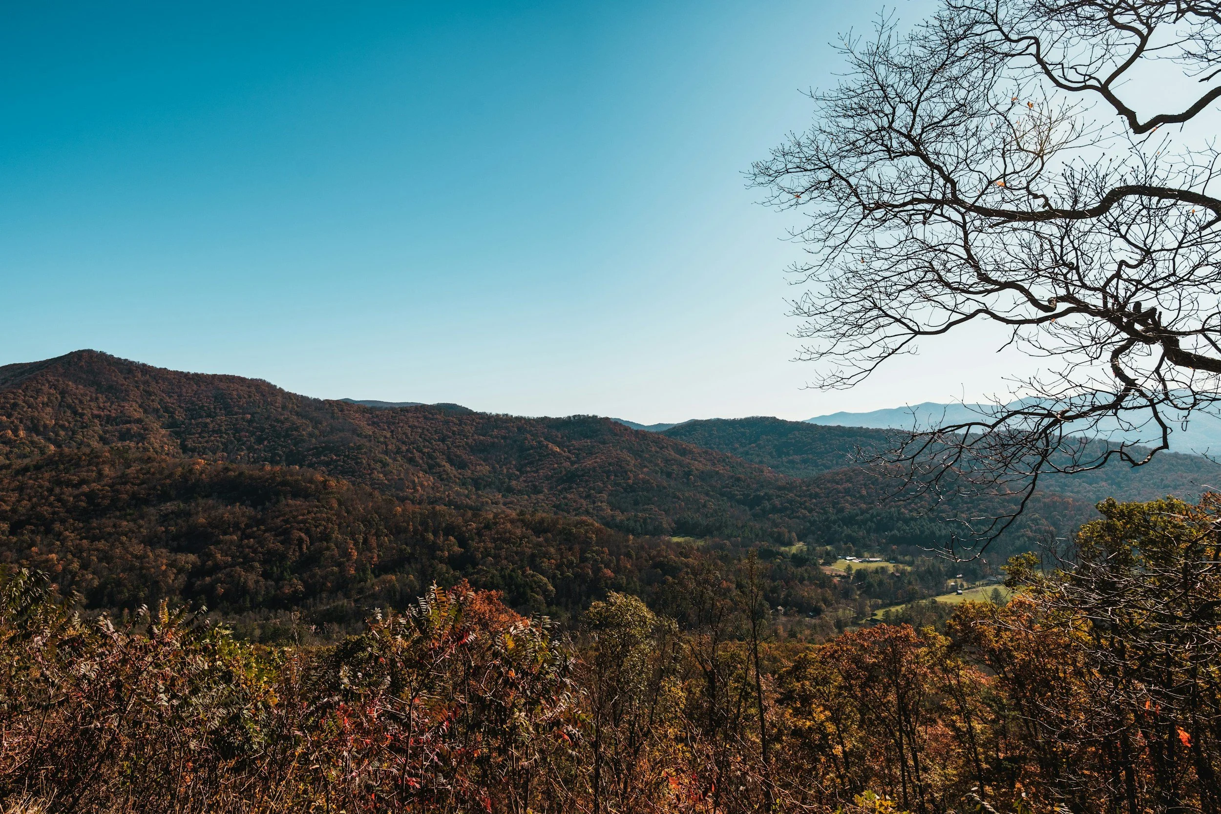 NE GA Fall Camporee