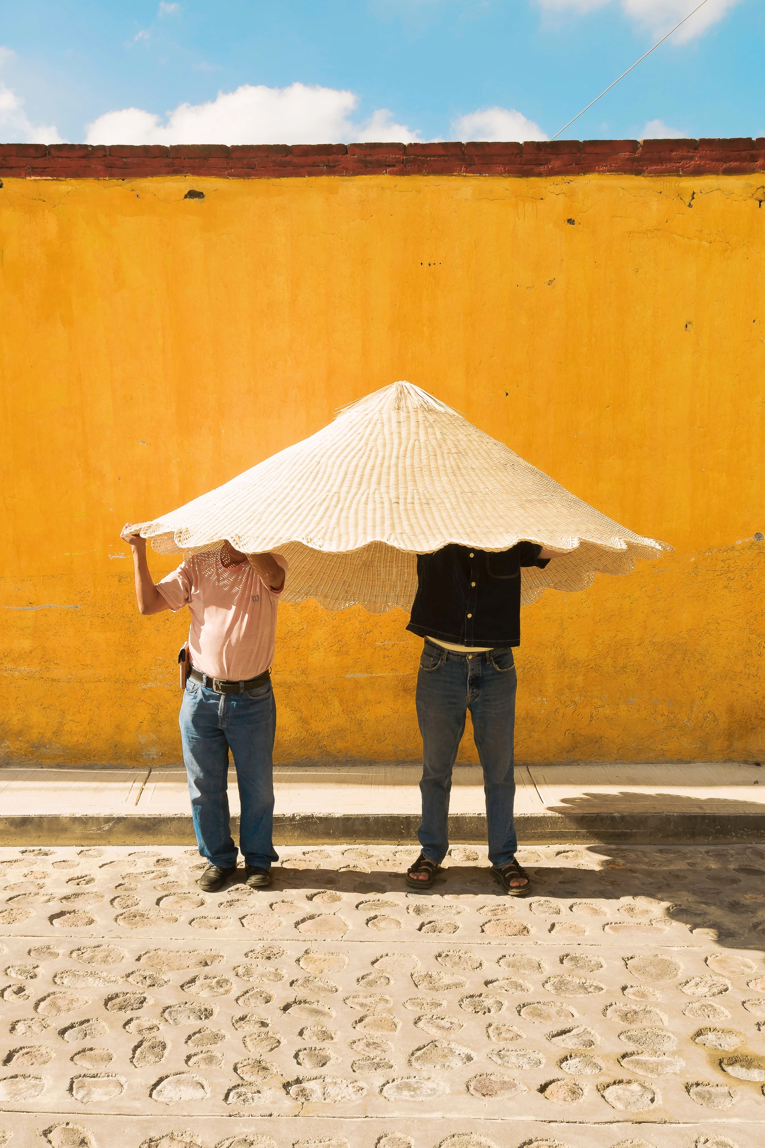 Gran Tutú Lampshade.