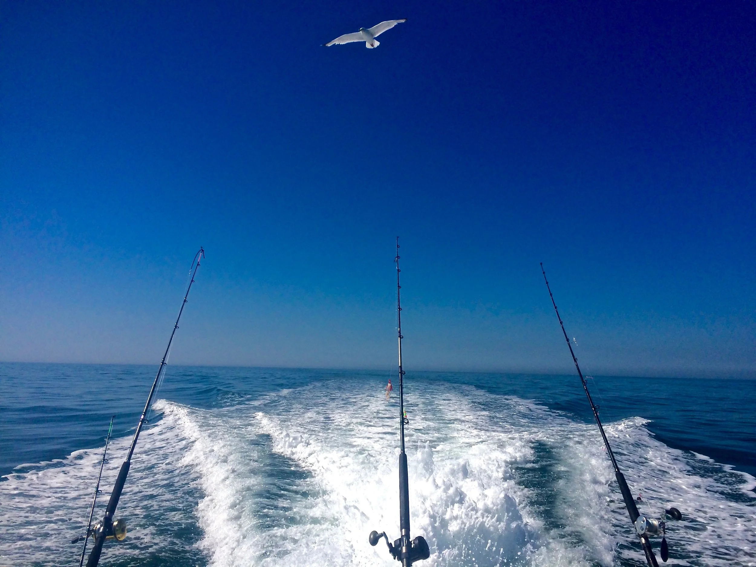 Venture Out Charters Bait & Tackle, Cape Coral FL