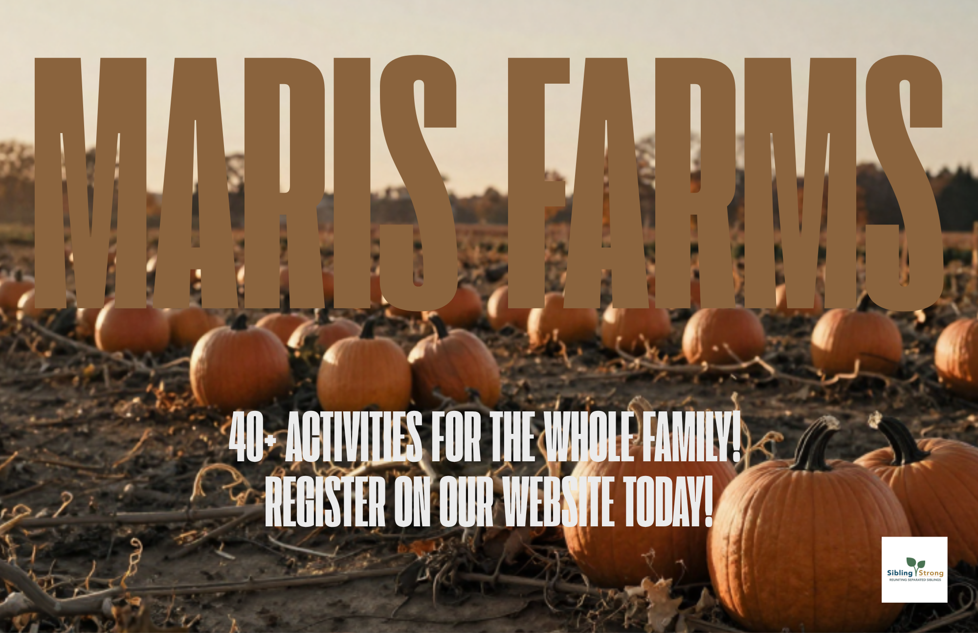 Maris Farms