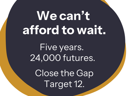 Parliamentary Briefing on Closing the Gap - Target 12